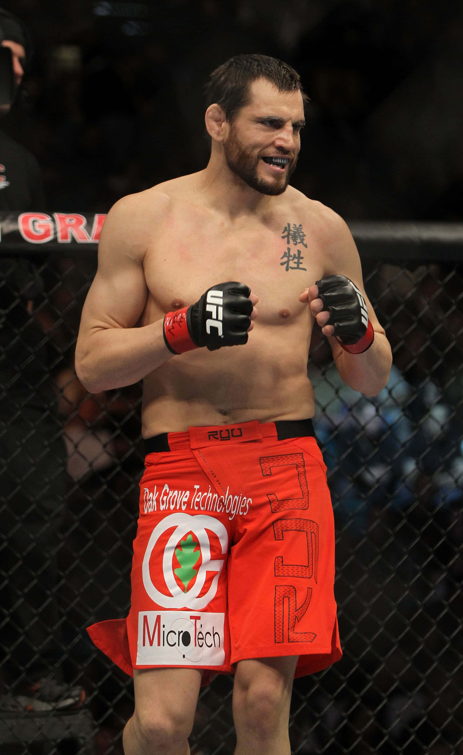 Jon Fitch Anasimama Octagon UFC 141 Picha ya Ukuta
