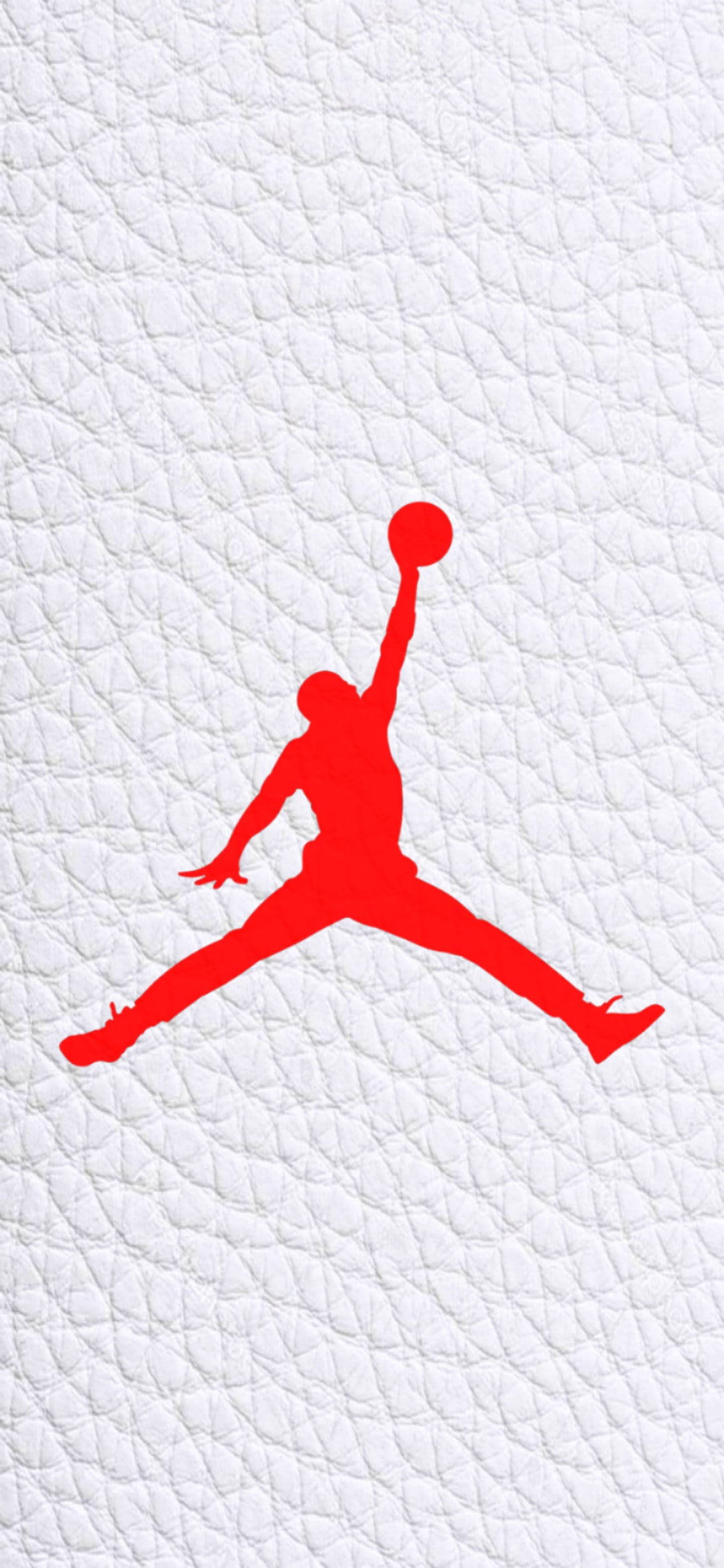 Jordan Logo White Leather Canvas Picha ya Ukuta