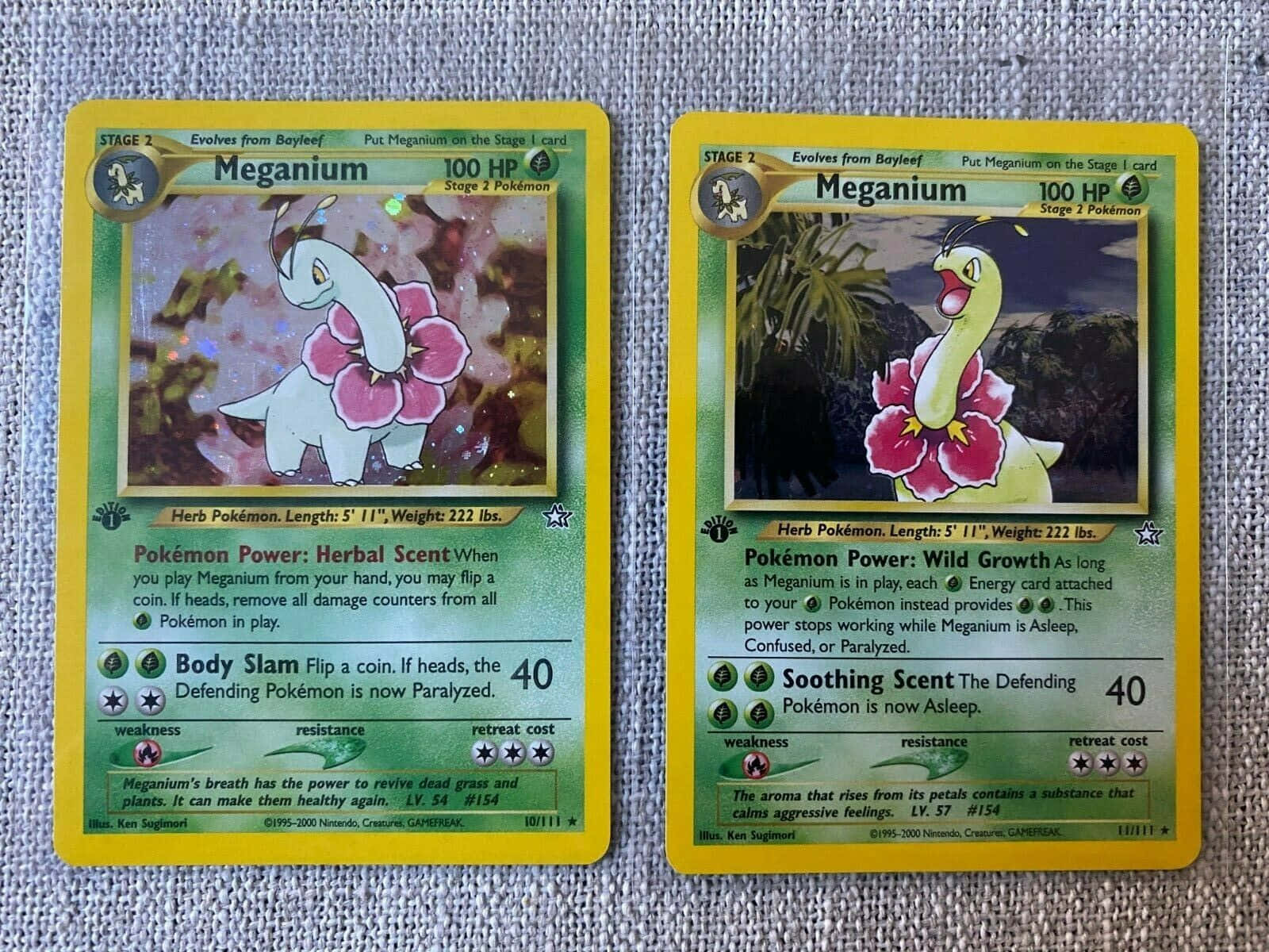 Kadi mbili za biashara za Pokemon Meganium Picha ya Ukuta
