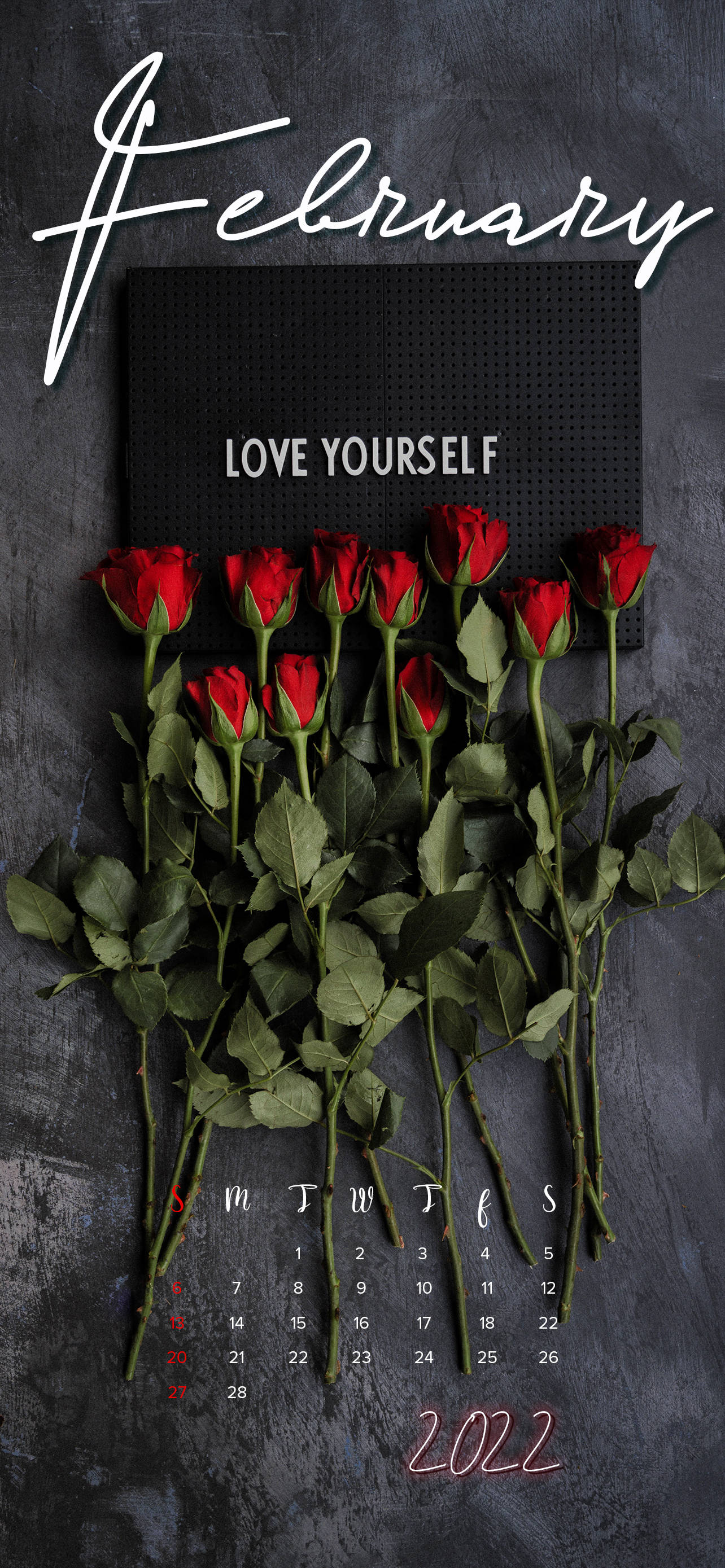 Kalenda ya Roses Februari 2022 Picha ya Ukuta