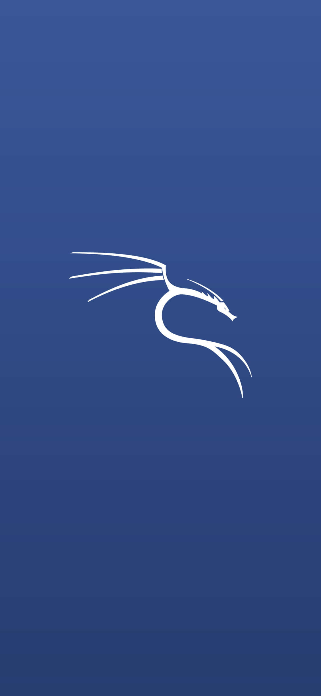 Kali Linux Matrix Environment Picha ya Ukuta