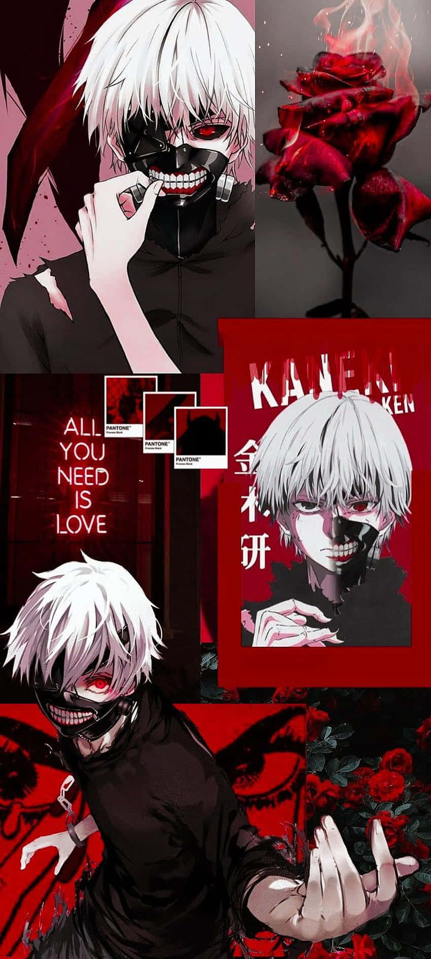 Kaneki Ken anapigania haki katika Tokyo Ghoul Picha ya Ukuta