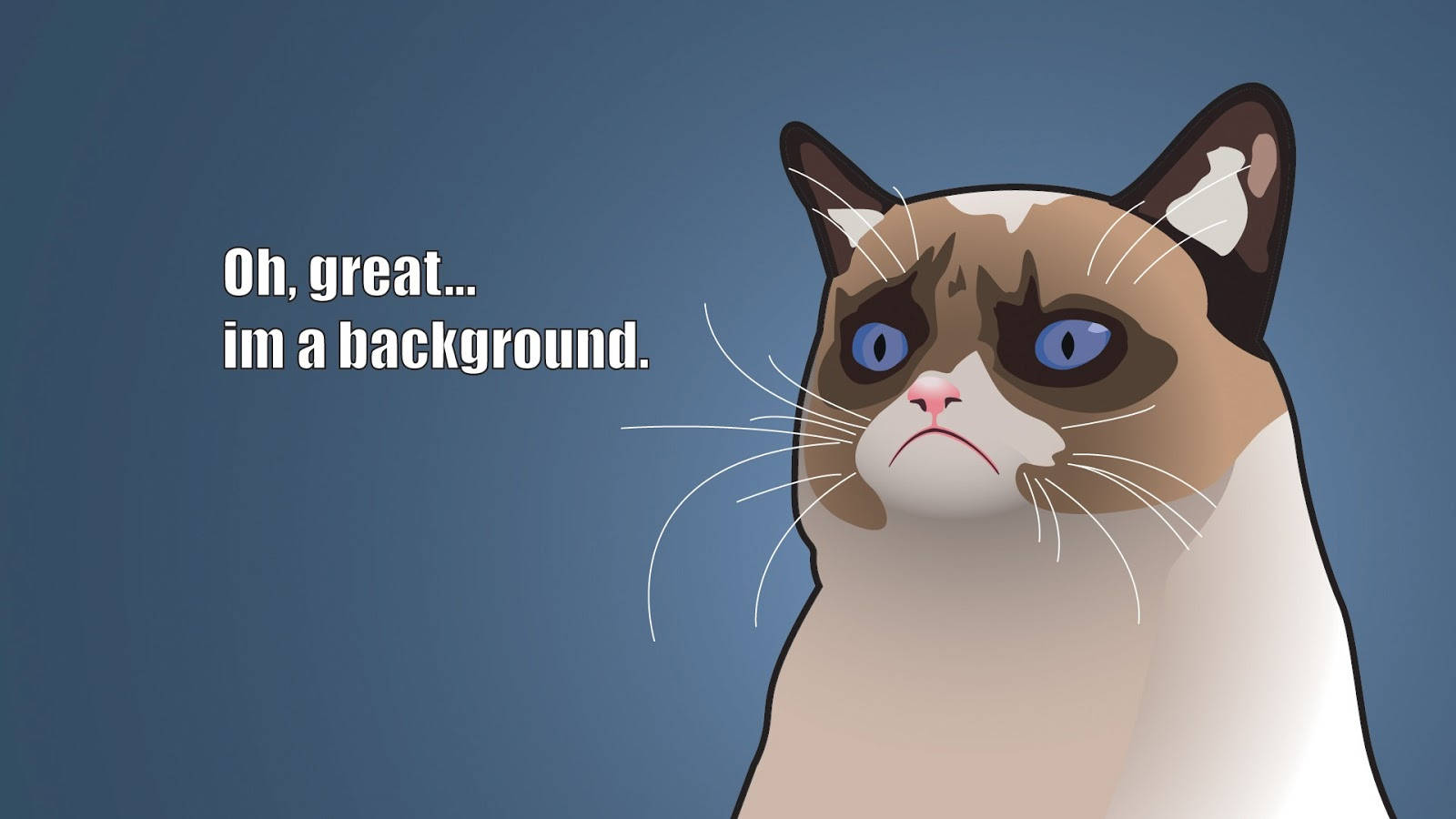 Katuni ya Paka wa Siamese ya Kuchekesha Meme Picha ya Ukuta