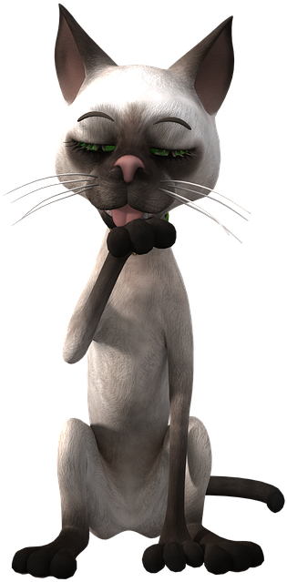 Katuni ya Paka wa Siamese Anayefikiri Picha ya Ukuta