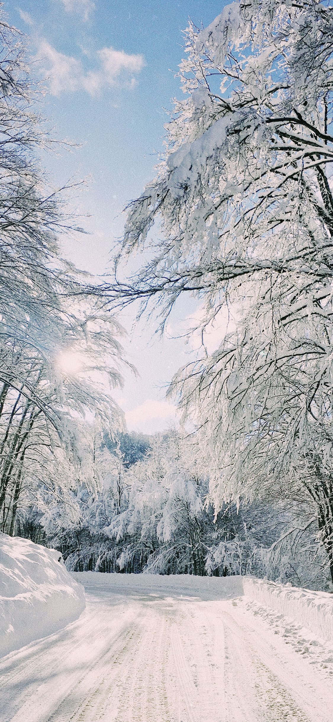 Majestic Winter Wonderland Picha ya Ukuta