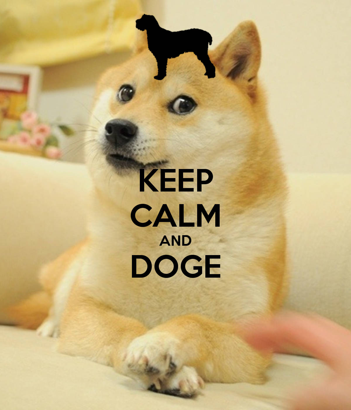 Keep Calm and Doge On! Picha ya Ukuta