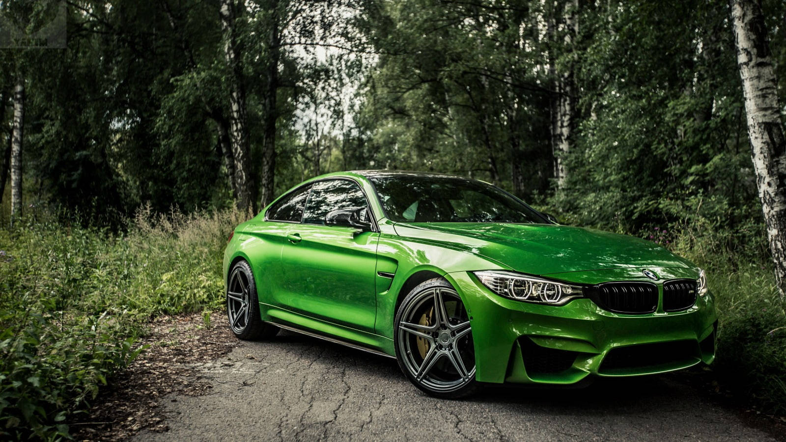 Kichwa: BMW M4 ya Kijani Kibichi Inanguruma Msituni Picha ya Ukuta