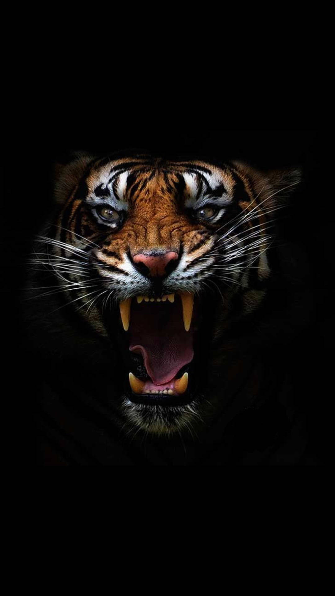 Kichwa cha Tiger Mwenye Hasira Picha ya Ukuta