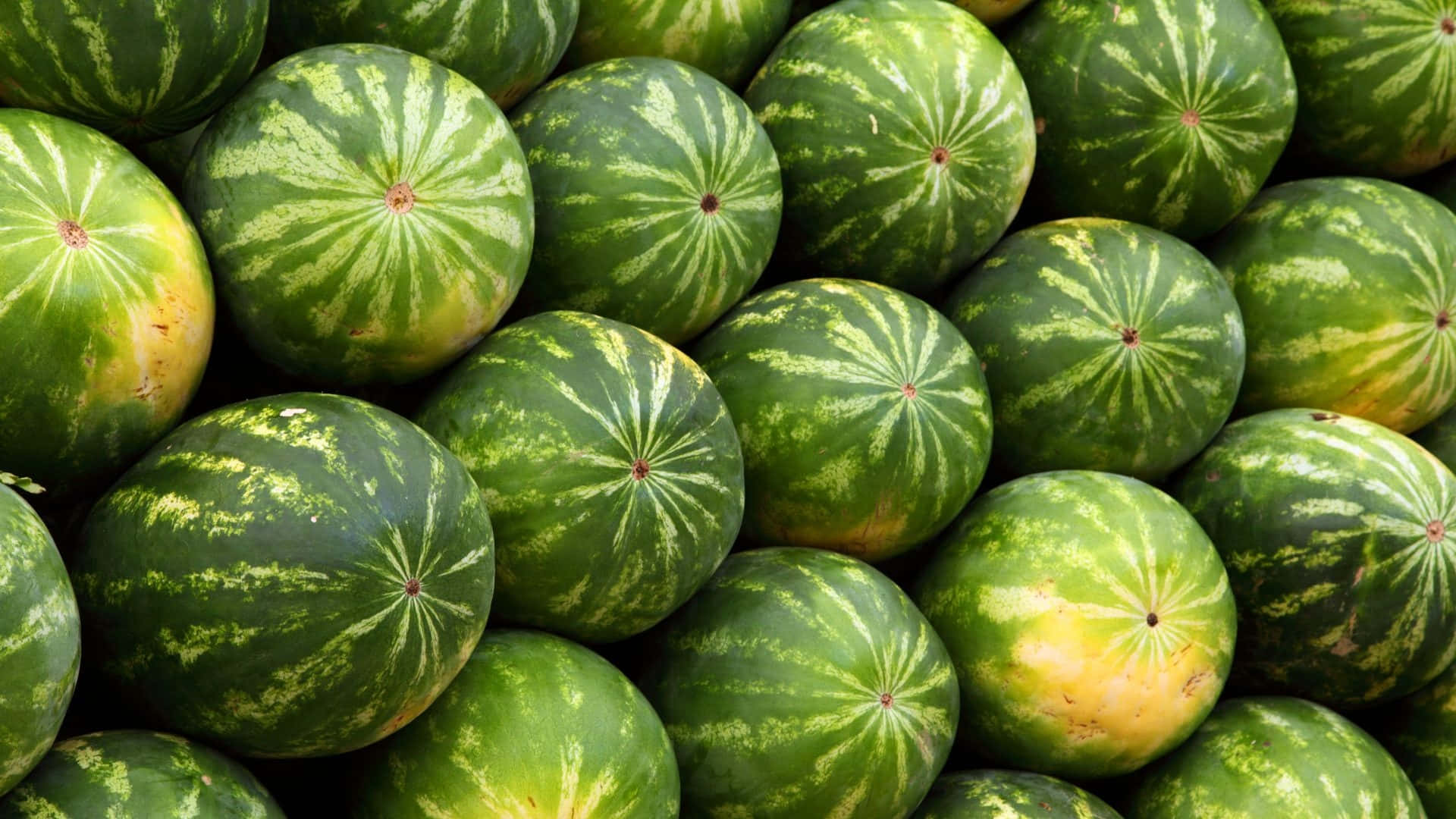 Kichwa: Kipande Kibichi cha Majira ya Joto Picha ya Ukuta