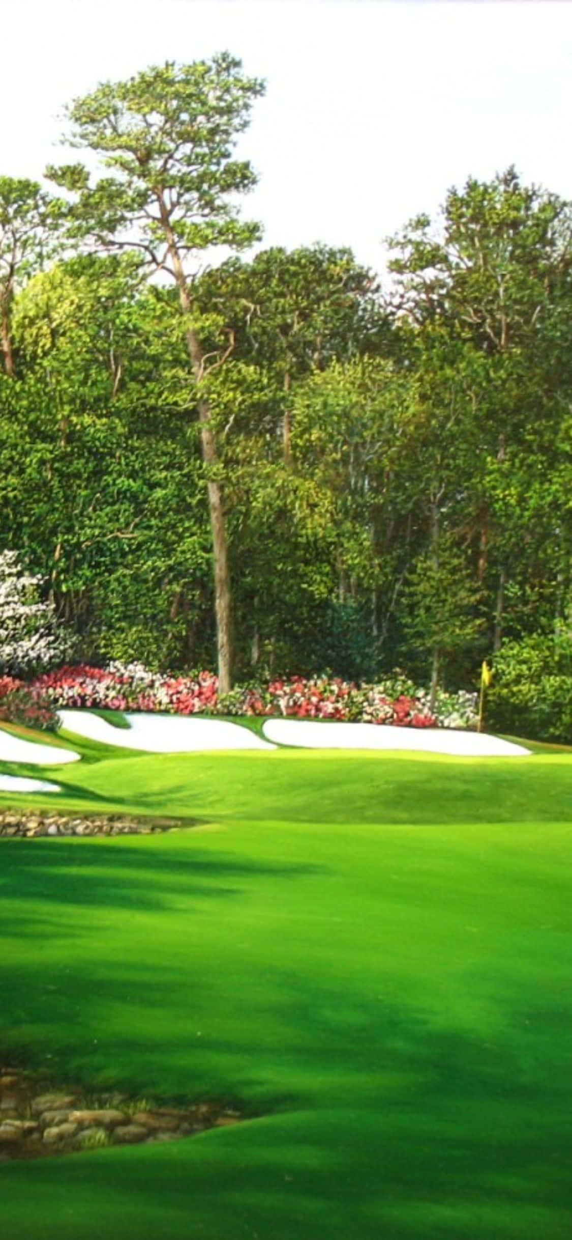 kijani kibichi cha mwisho wa golfu Picha ya Ukuta