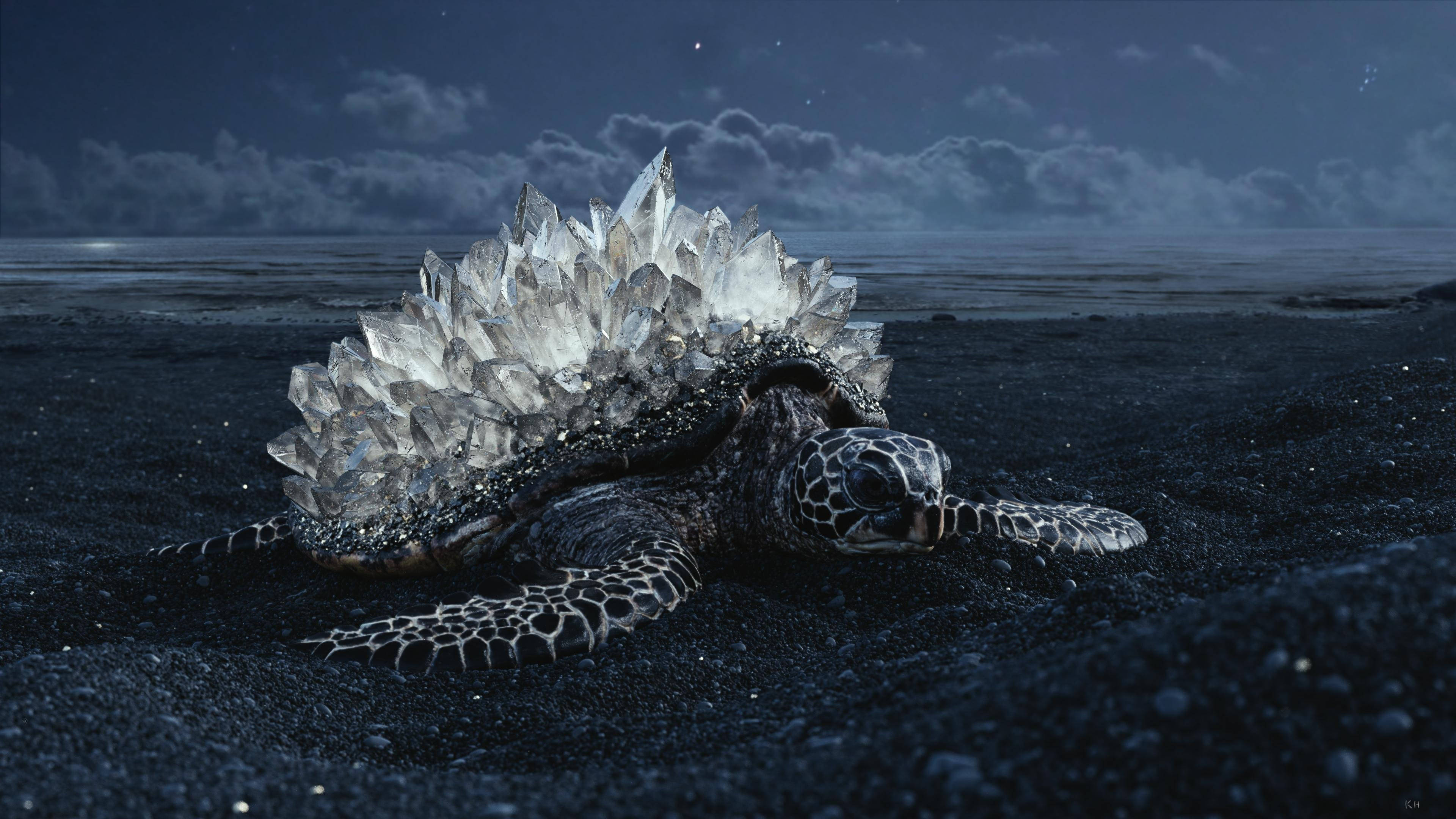 Kikubwa cha Kobe cha Kioo cha Turtle Picha ya Ukuta