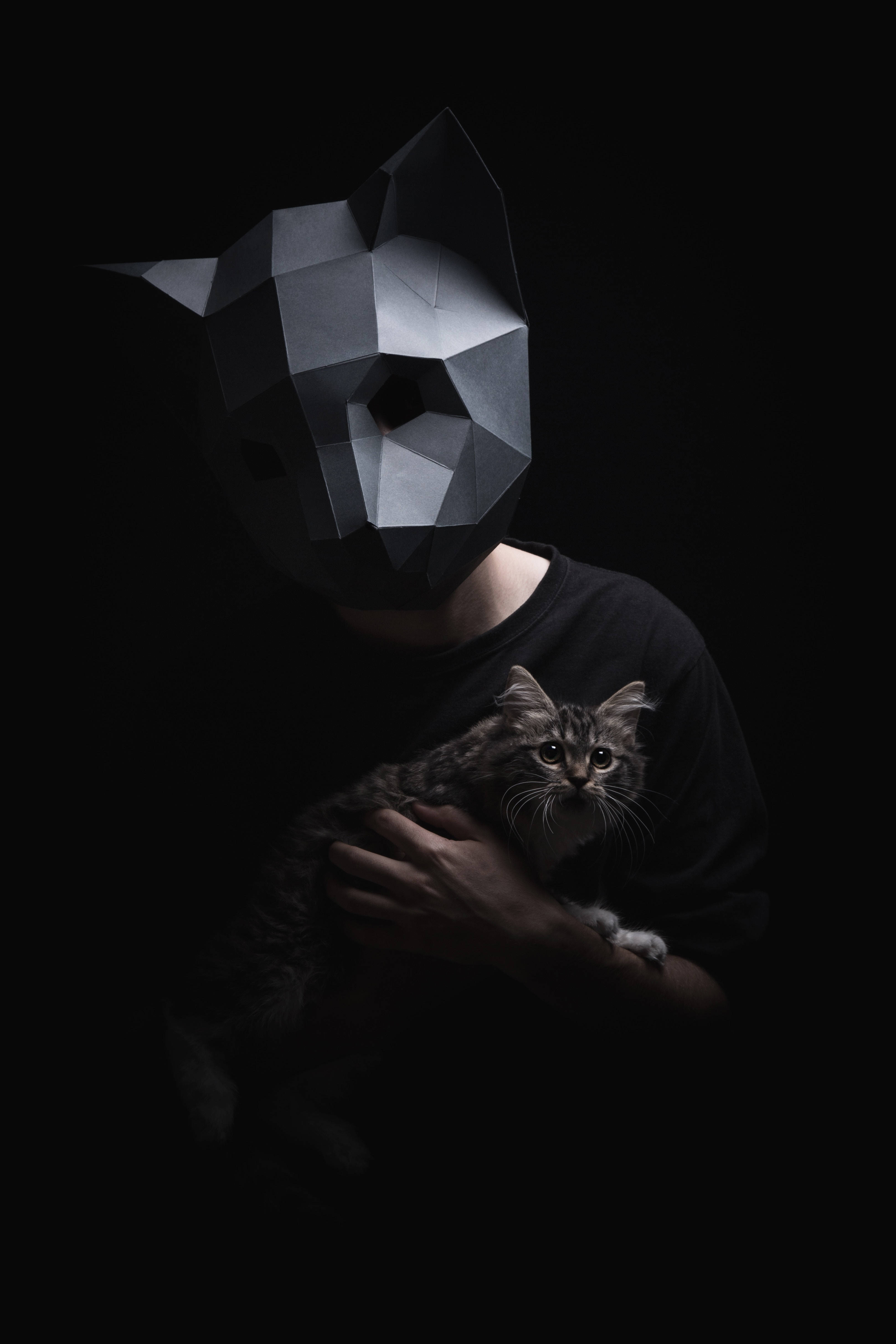 Kinyago cha paka cha 3D low-poly cha kufurahisha na cha kipekee Picha ya Ukuta