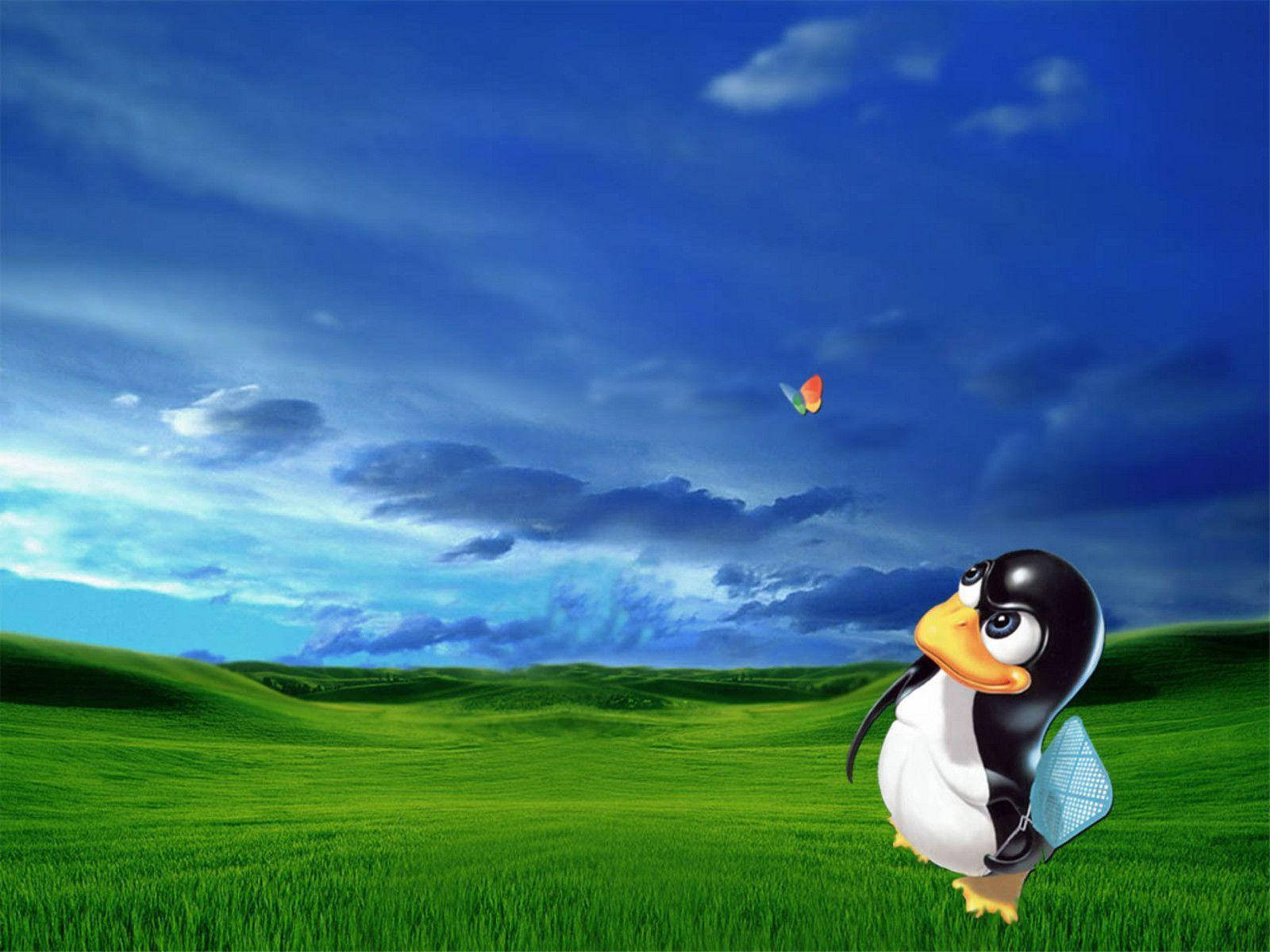 Kipepeo cha MSN na Tux Picha ya Ukuta