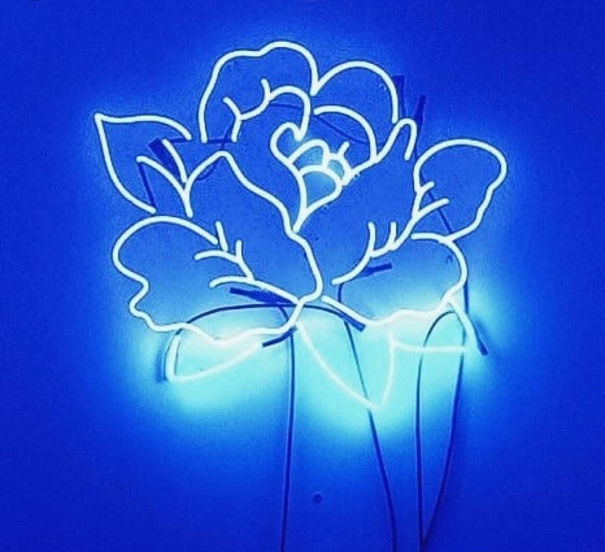 Kuchunguza urembo wa ajabu wa taa za bluu za neon Picha ya Ukuta