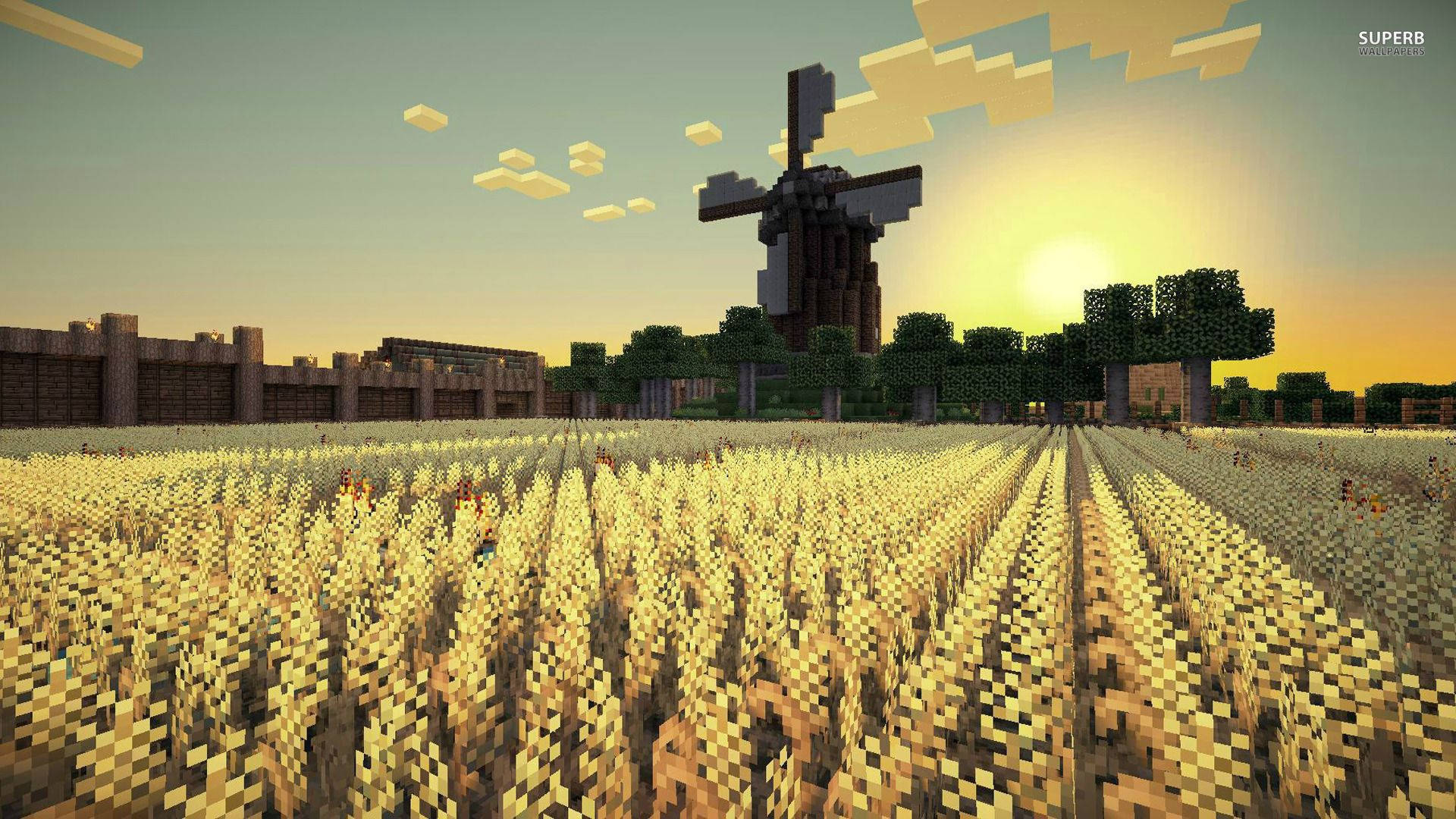 Kufurahia Asubuhi Tulivu kwenye Shamba la Mpunga la Minecraft Picha ya Ukuta