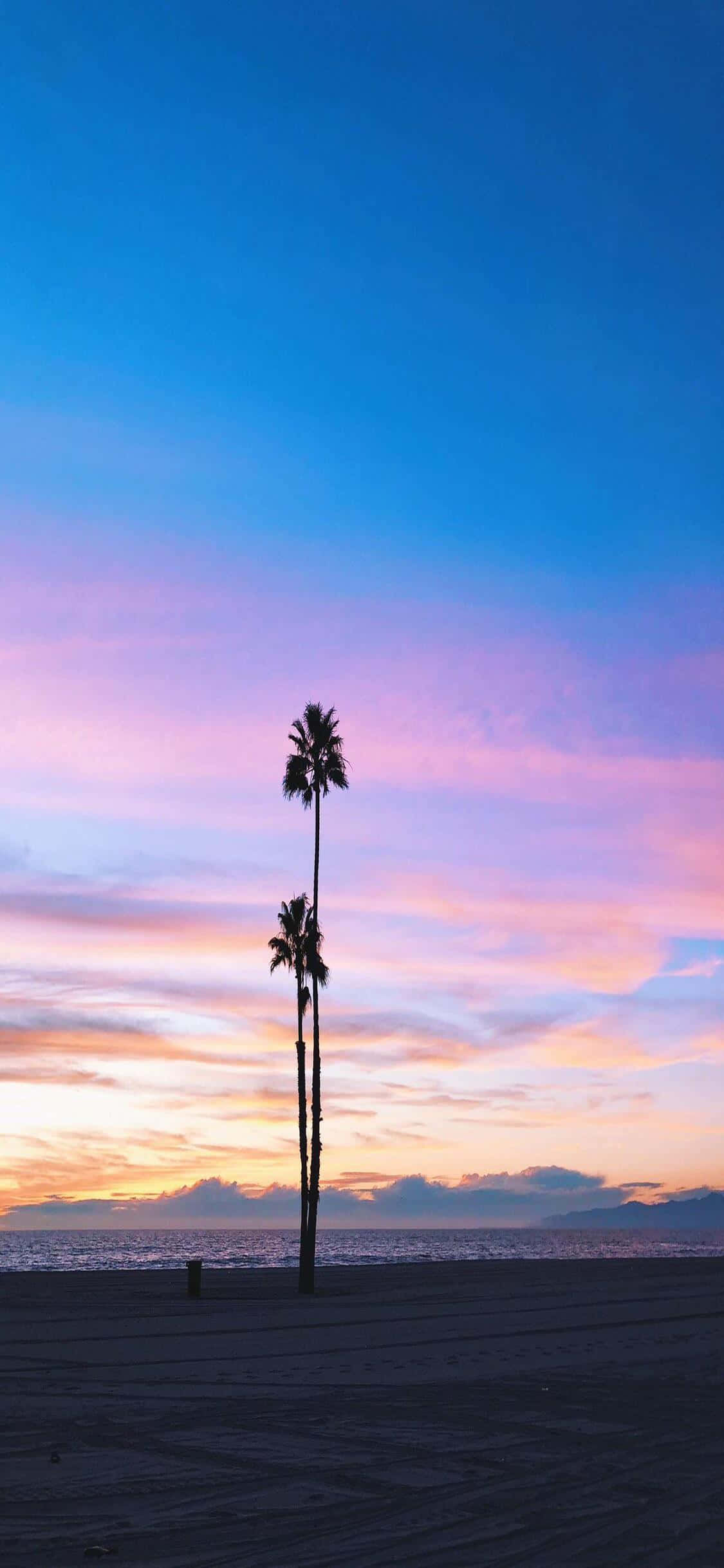 Kufurahia Maisha katika Golden State na iPhone X California Picha ya Ukuta