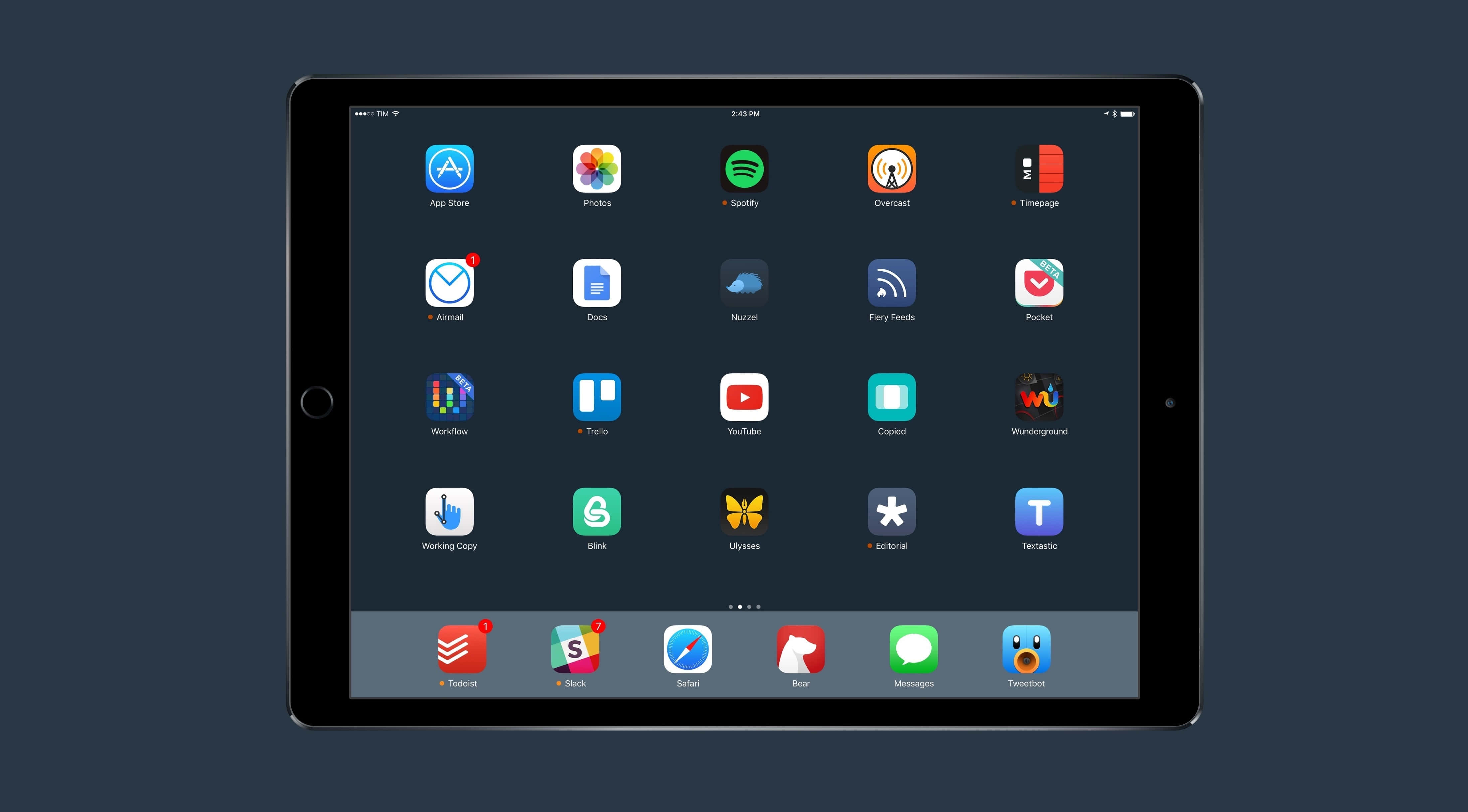 Kufurahia Maisha na iPad Picha ya Ukuta