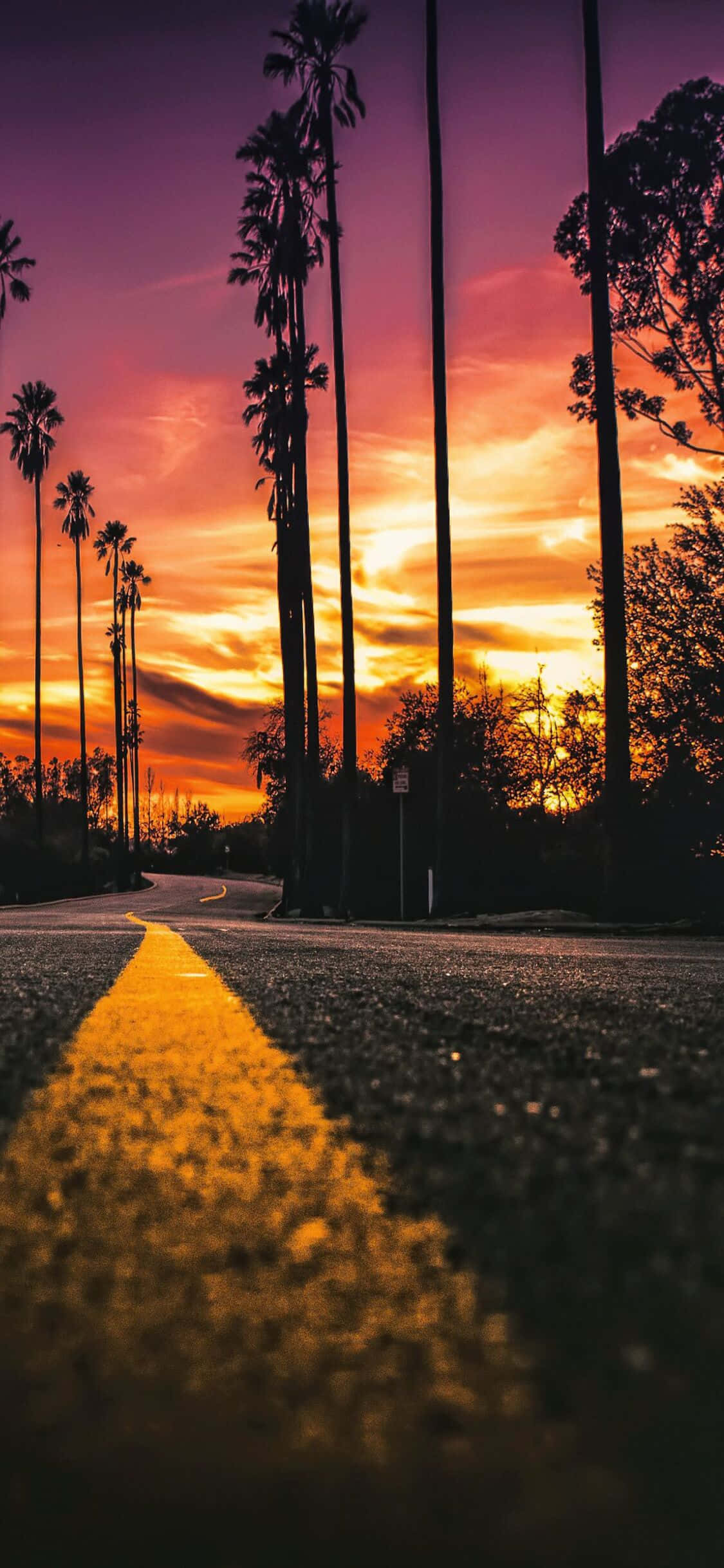 Kufurahia Mandhari ya California na iPhone X Picha ya Ukuta