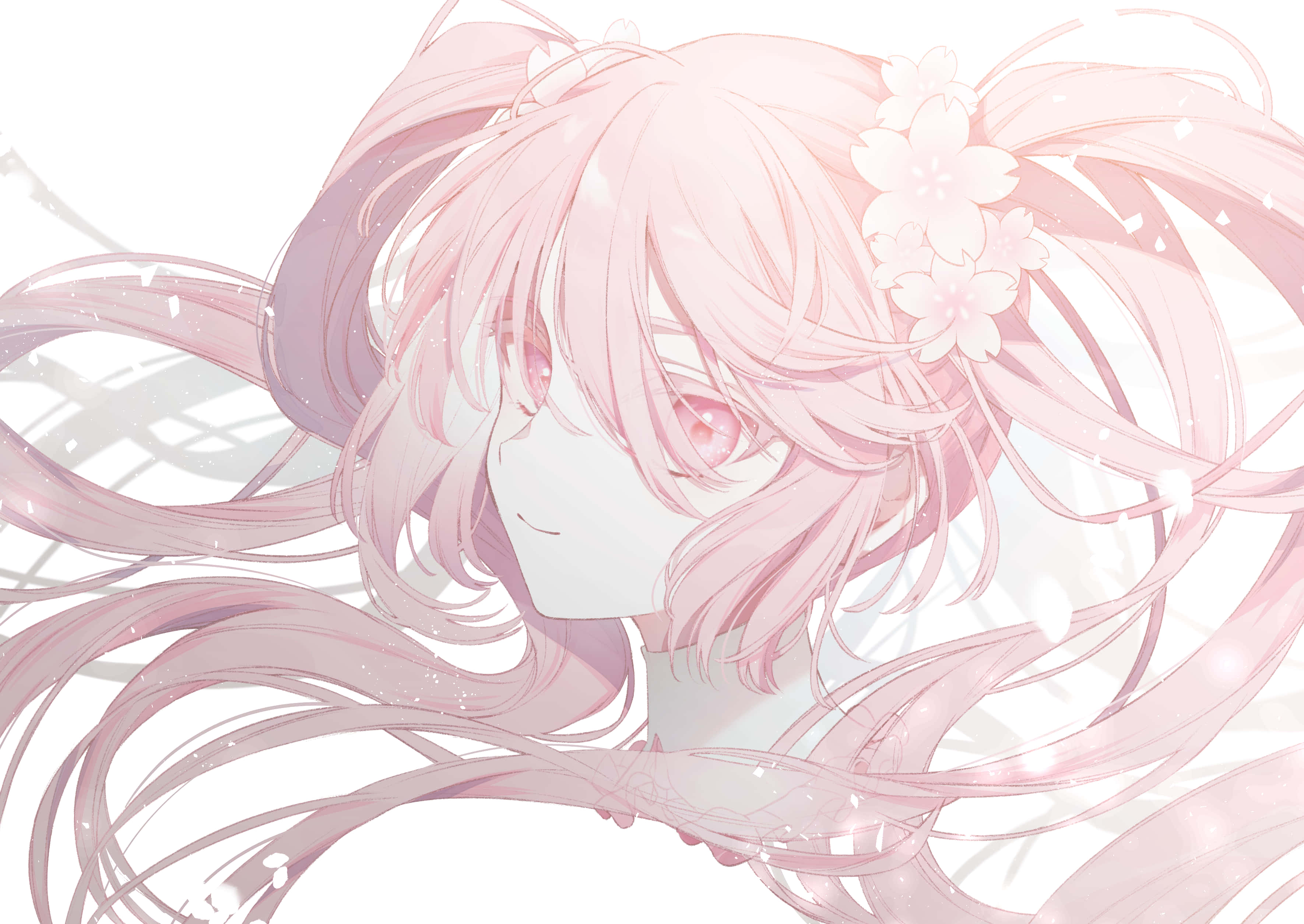 Kufurahia maua mazuri ya cherry blossom pamoja na Sakura Miku Picha ya Ukuta