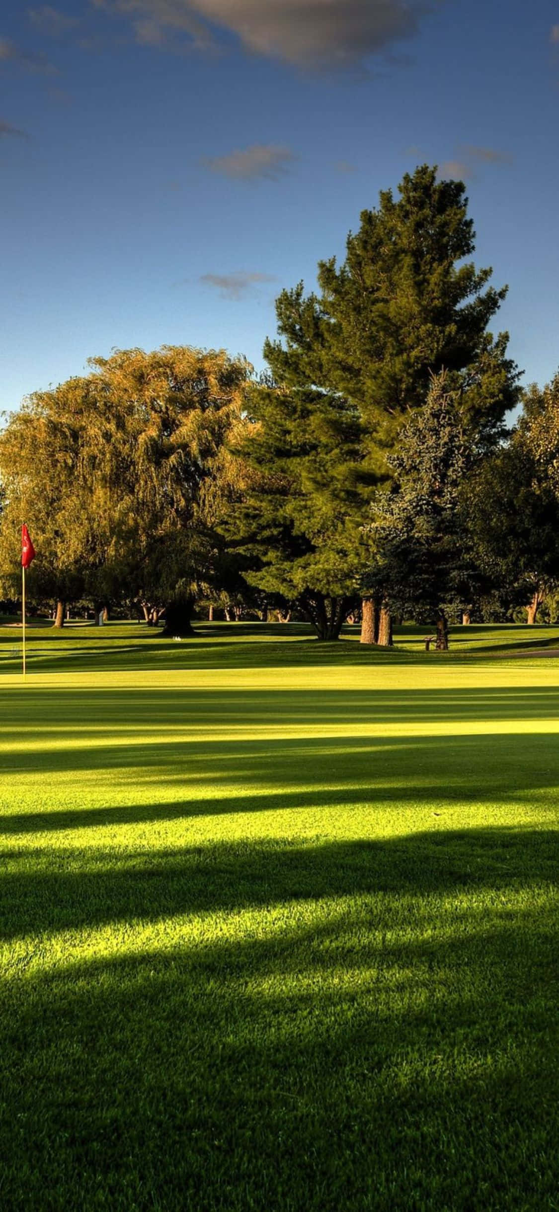 Kusaidia siku ya golf ya kusaidia kwenye uwanja wa golf wa msitu Picha ya Ukuta