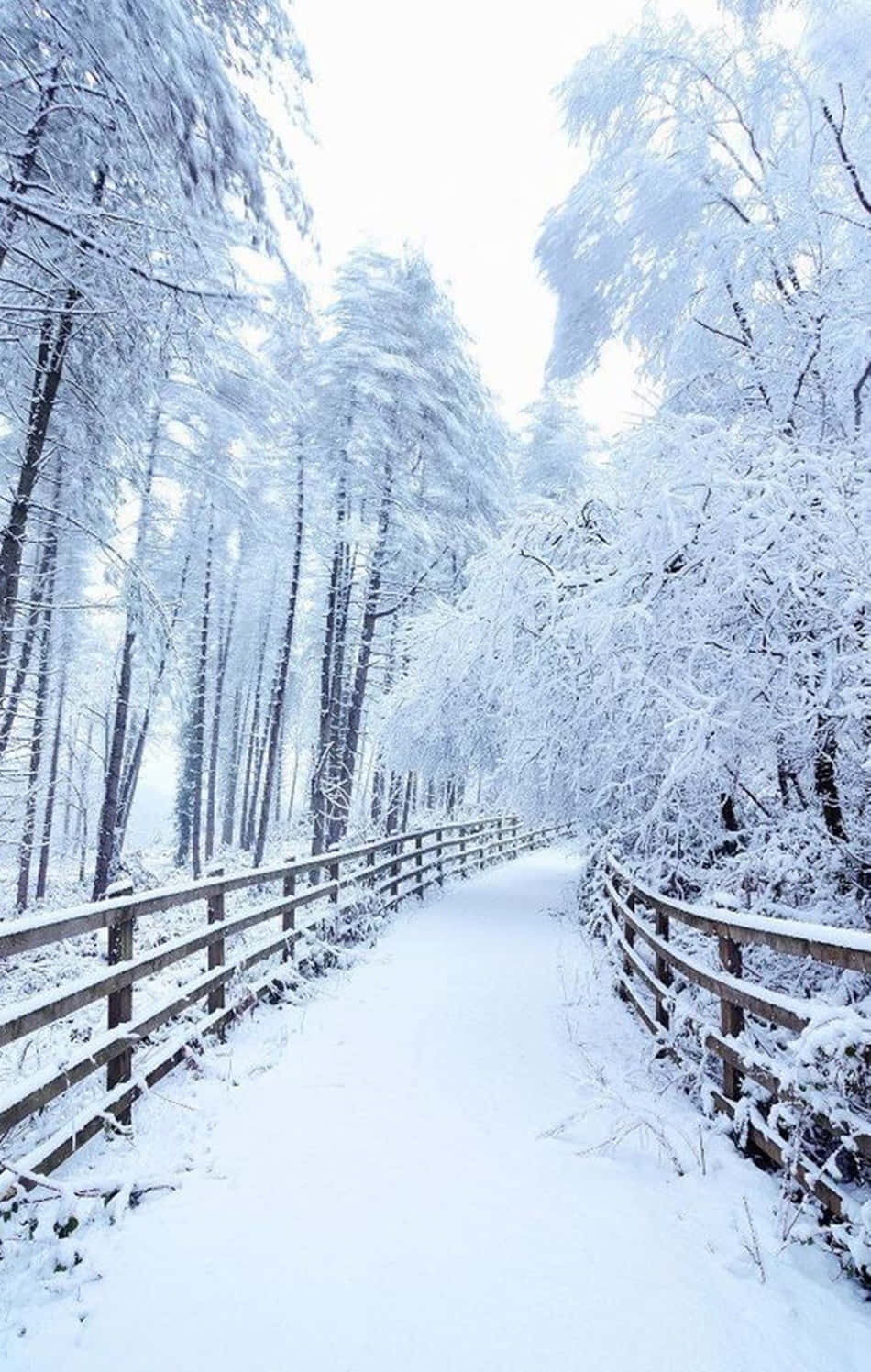 Kufurahia theluji safi wakati wa kamping na Snow iPhone yako Picha ya Ukuta