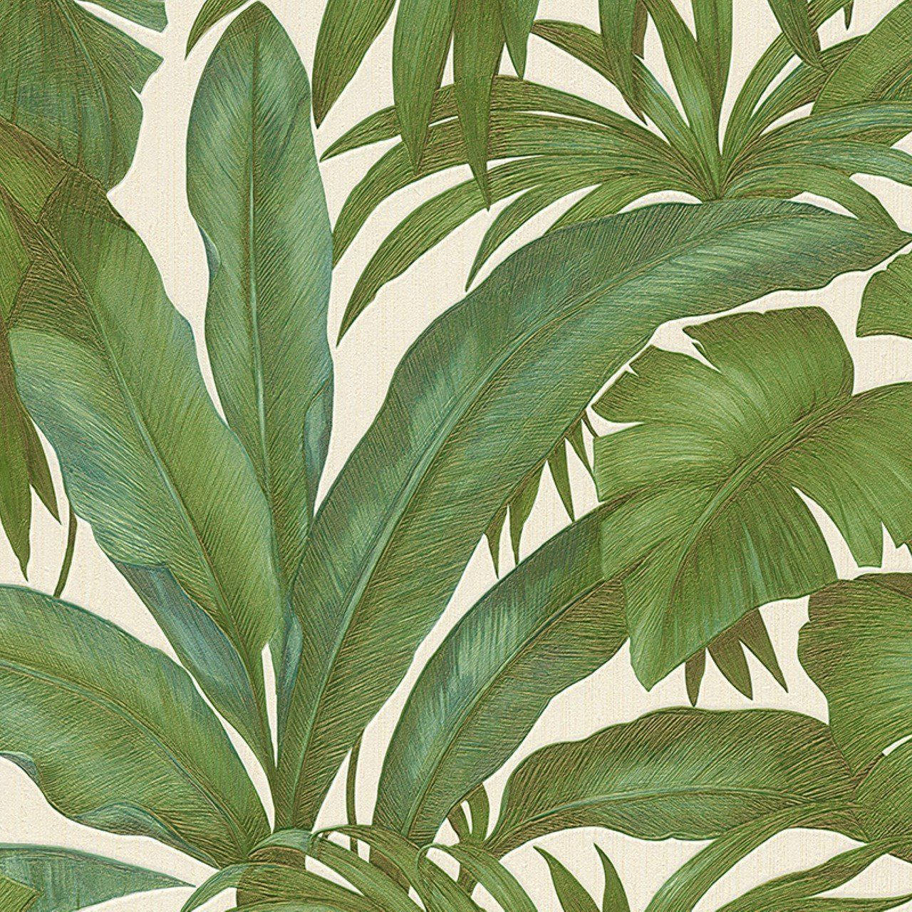 Kuishi Maisha ya Luksuri na Versace Green Leaf Picha ya Ukuta