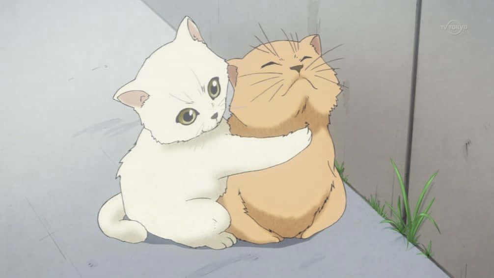 Kukataa mtazamo wa hii Cat ya Anime ya kuchekesha Picha ya Ukuta