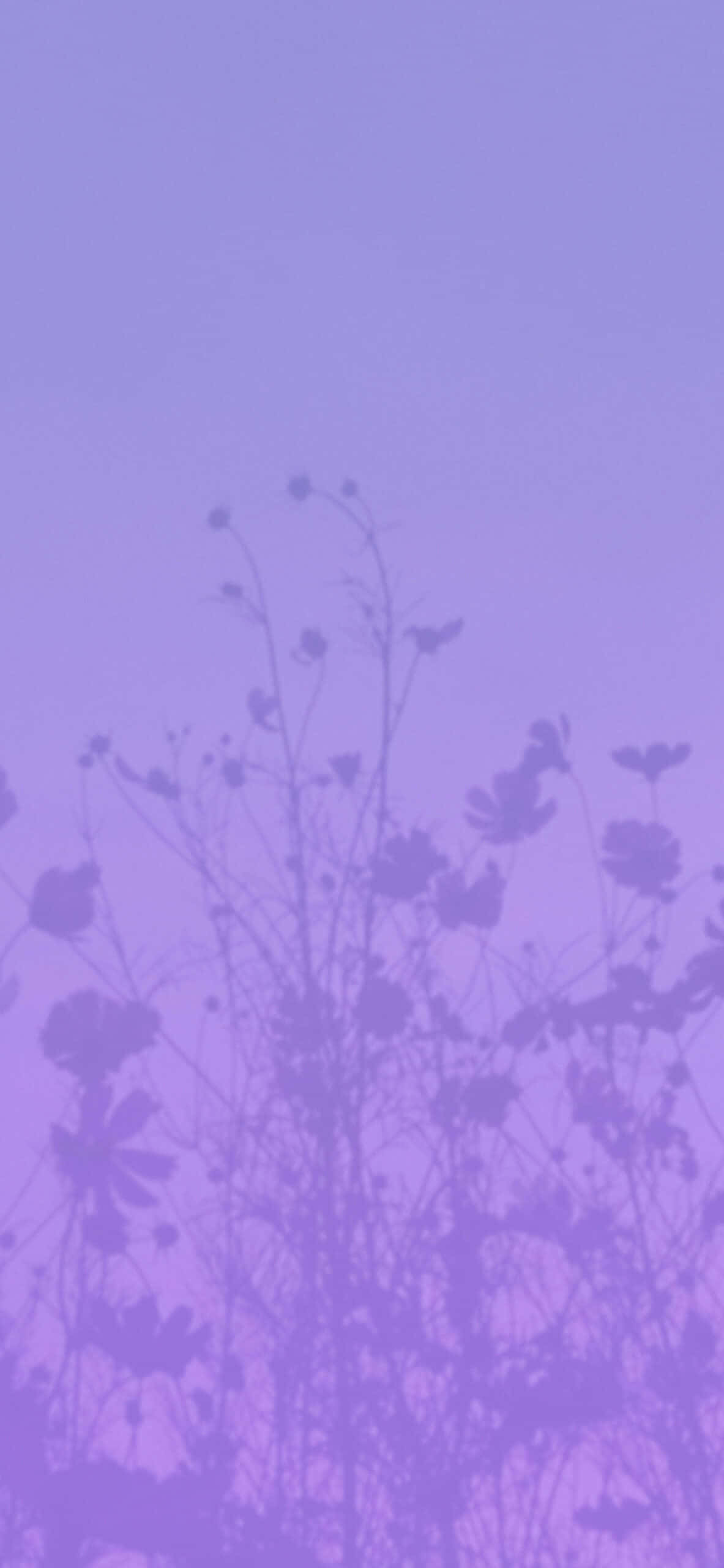 Flourish in Aesthetic Purple Picha ya Ukuta