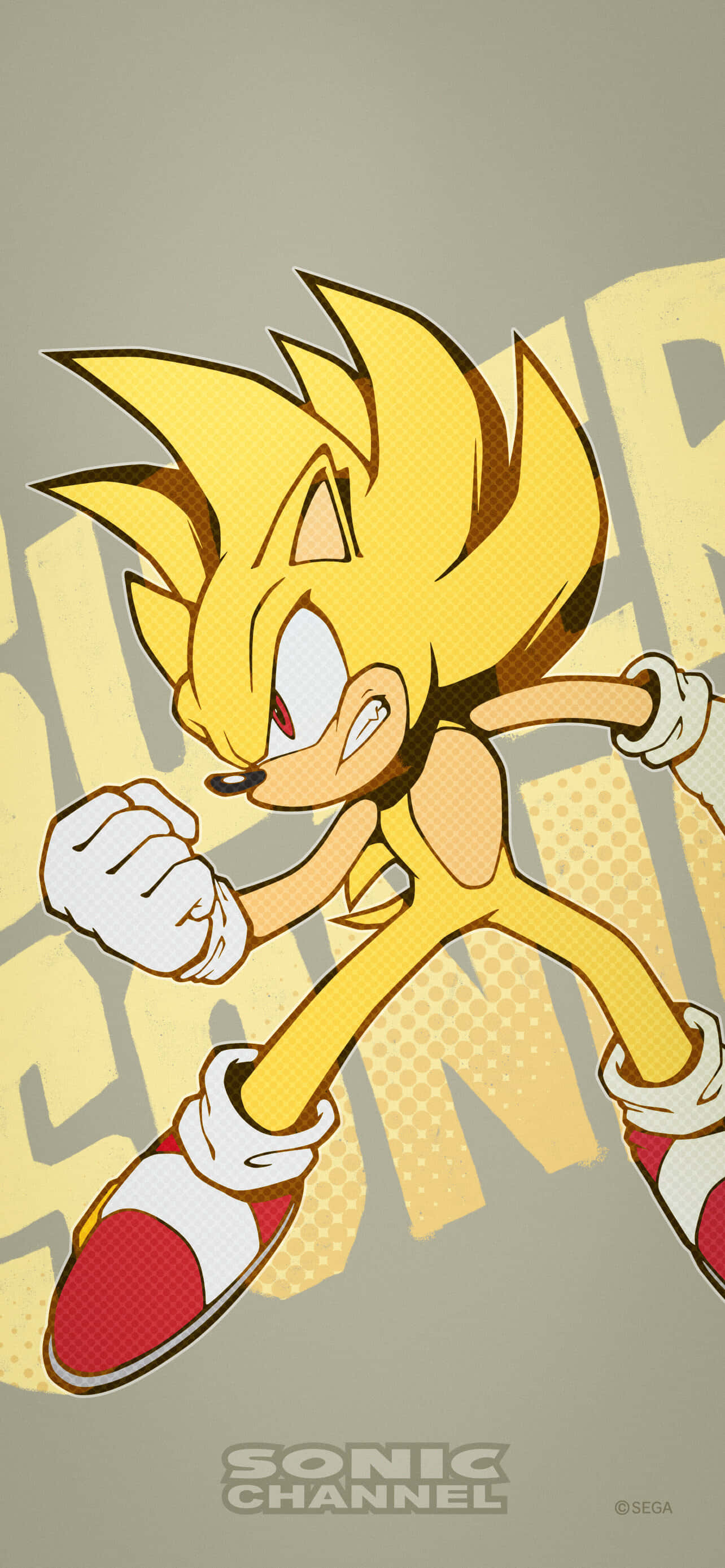 Kukutana na Super Sonic, hedgehog mwenye kasi zaidi duniani. Picha ya Ukuta