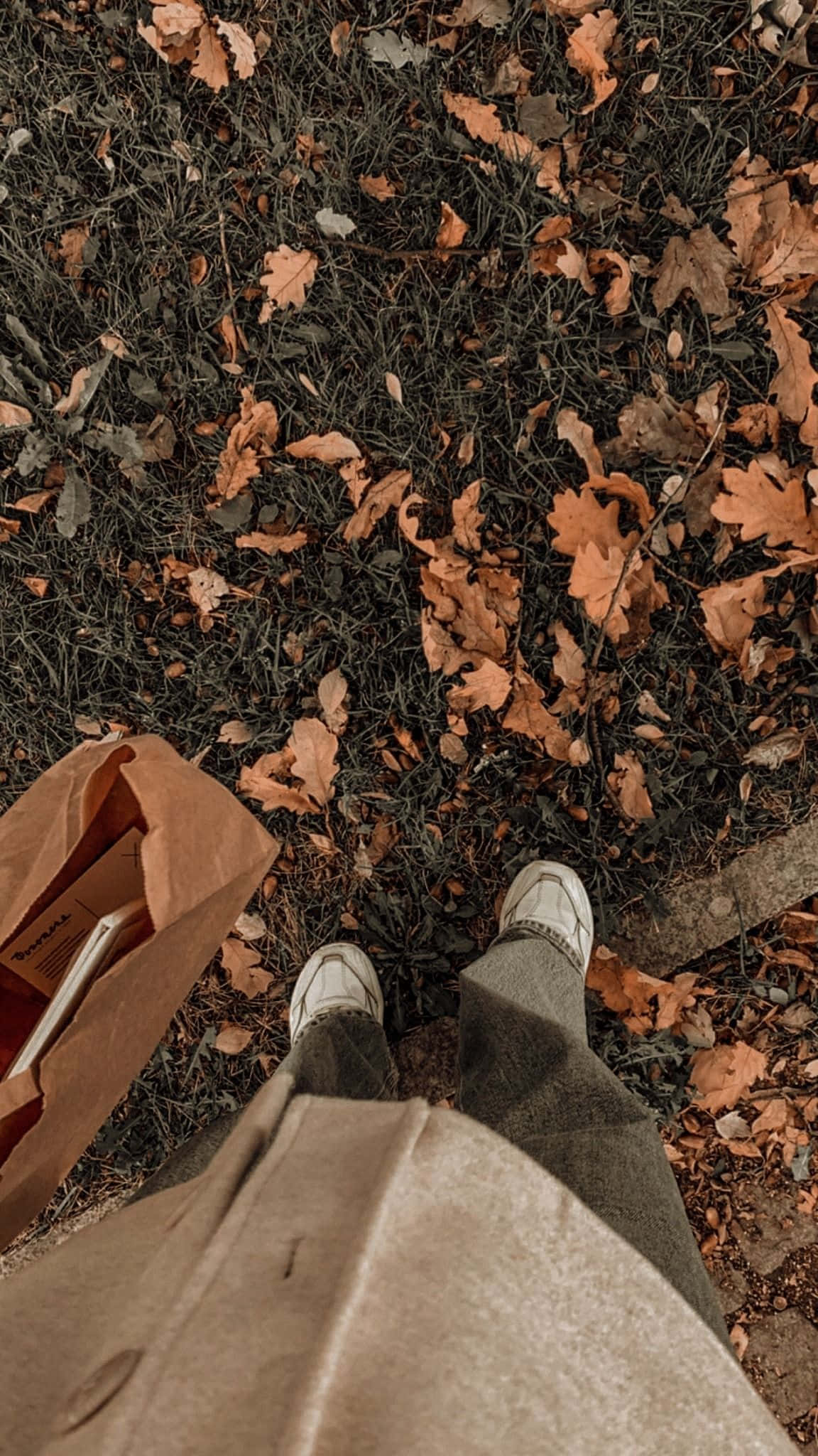 Kusaidia kusikia athari ya kuwa na upepo wa Aesthetic Brown Picha ya Ukuta