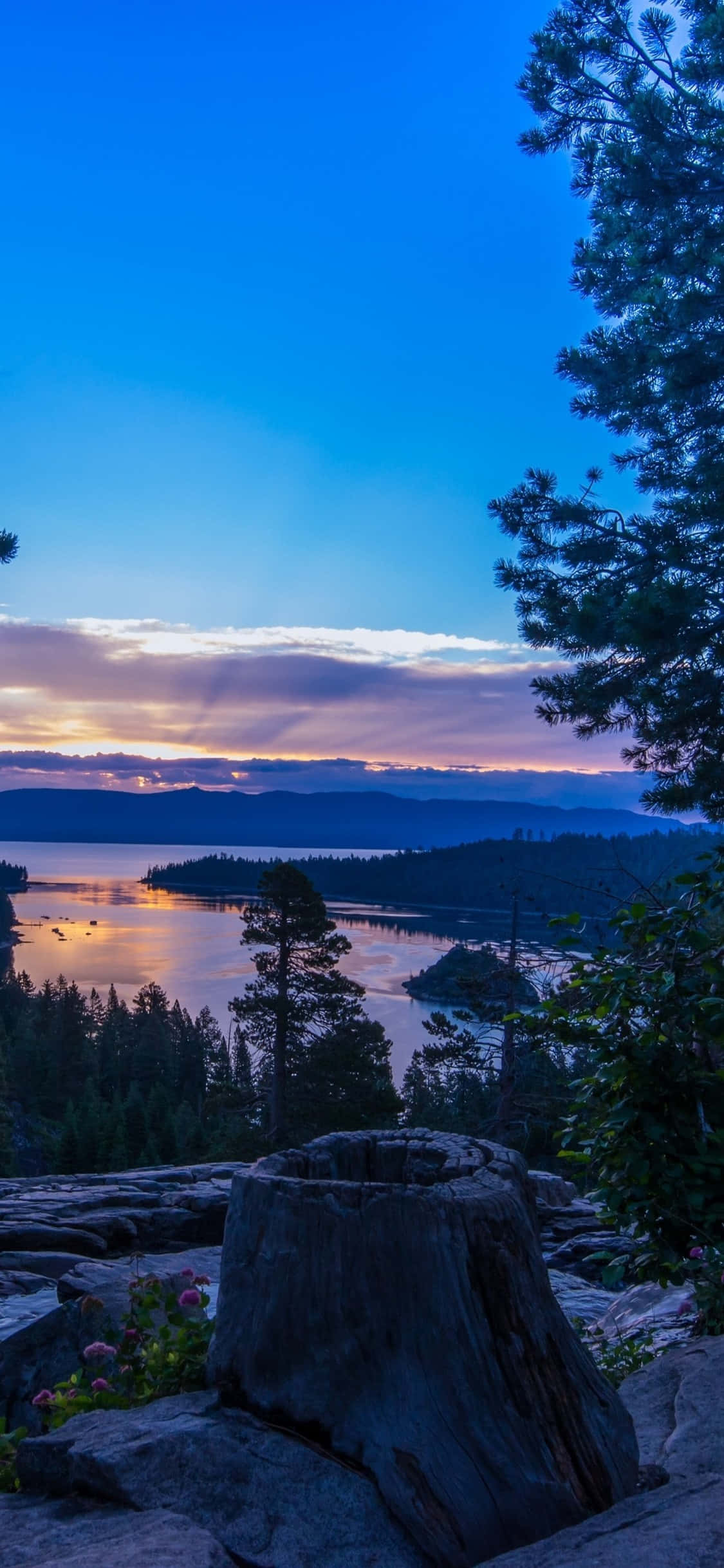 Kusherehekea mandhari ya kuvutia ya California ukitumia iPhone X Picha ya Ukuta