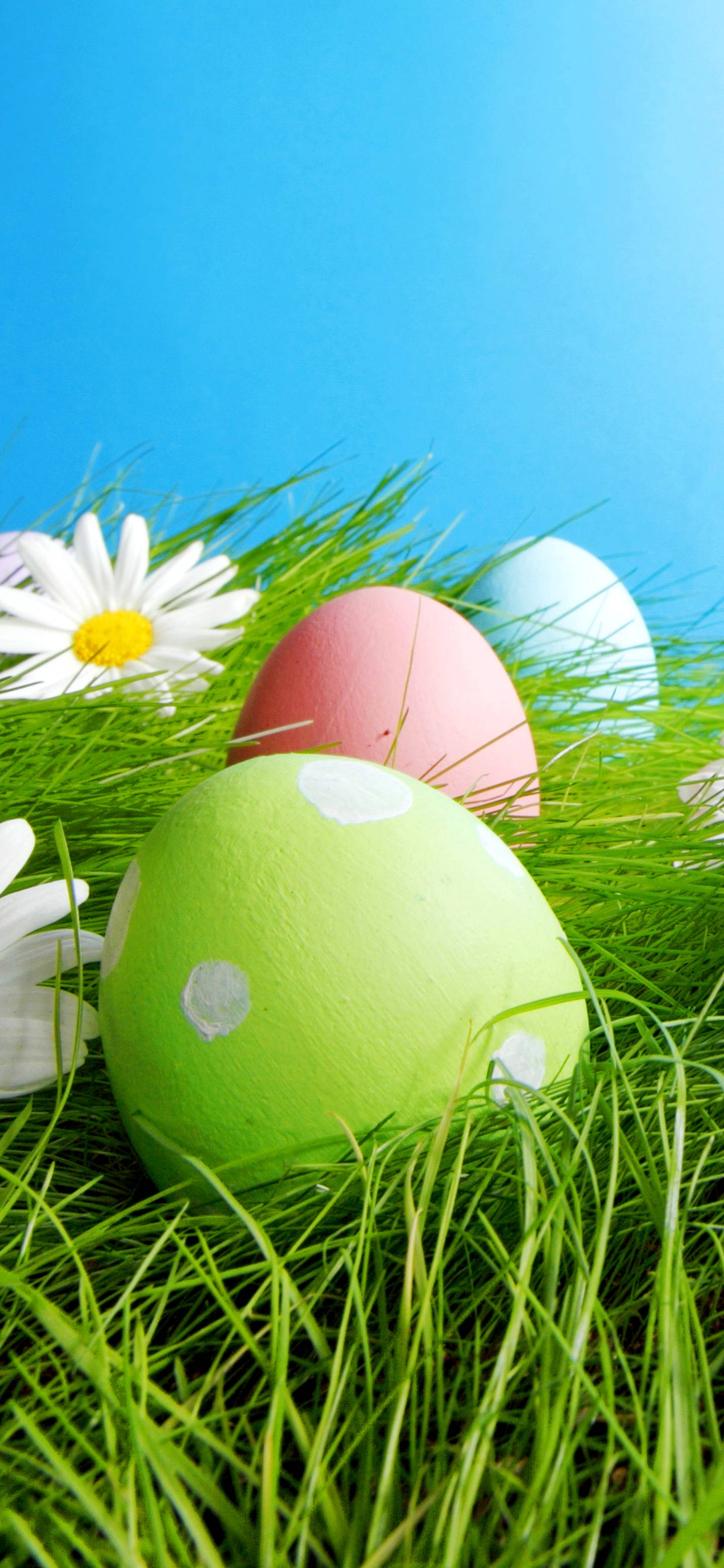 Kusherehekea Paskaha kwa Staili na Easter Phone Picha ya Ukuta