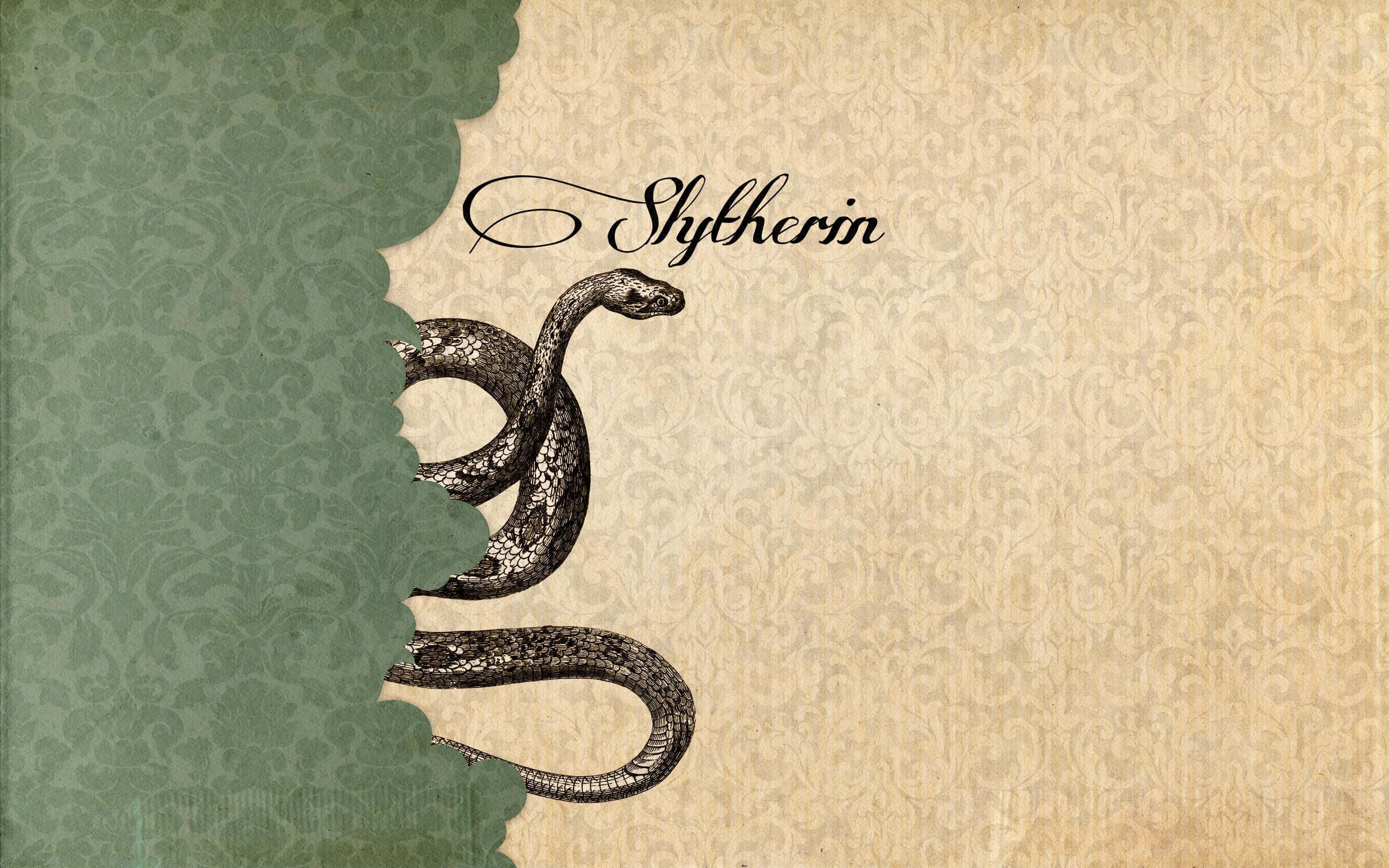 Kushiria charm ya Slytherin Aesthetic 🐍 Picha ya Ukuta