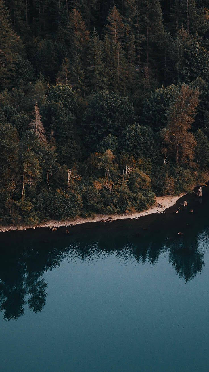 Kushtukia Uzuri wa Nature na iPhone XR Picha ya Ukuta