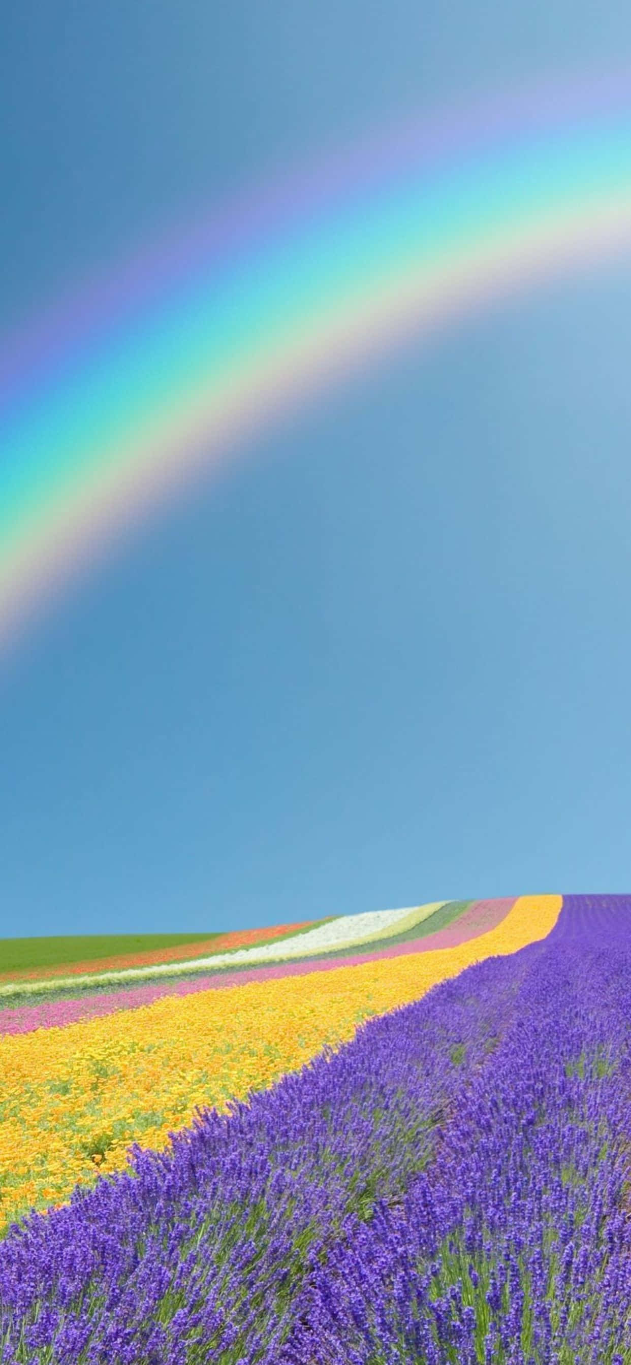 Kusikia Spring ya Uzuri na Google Pixel 3 Picha ya Ukuta