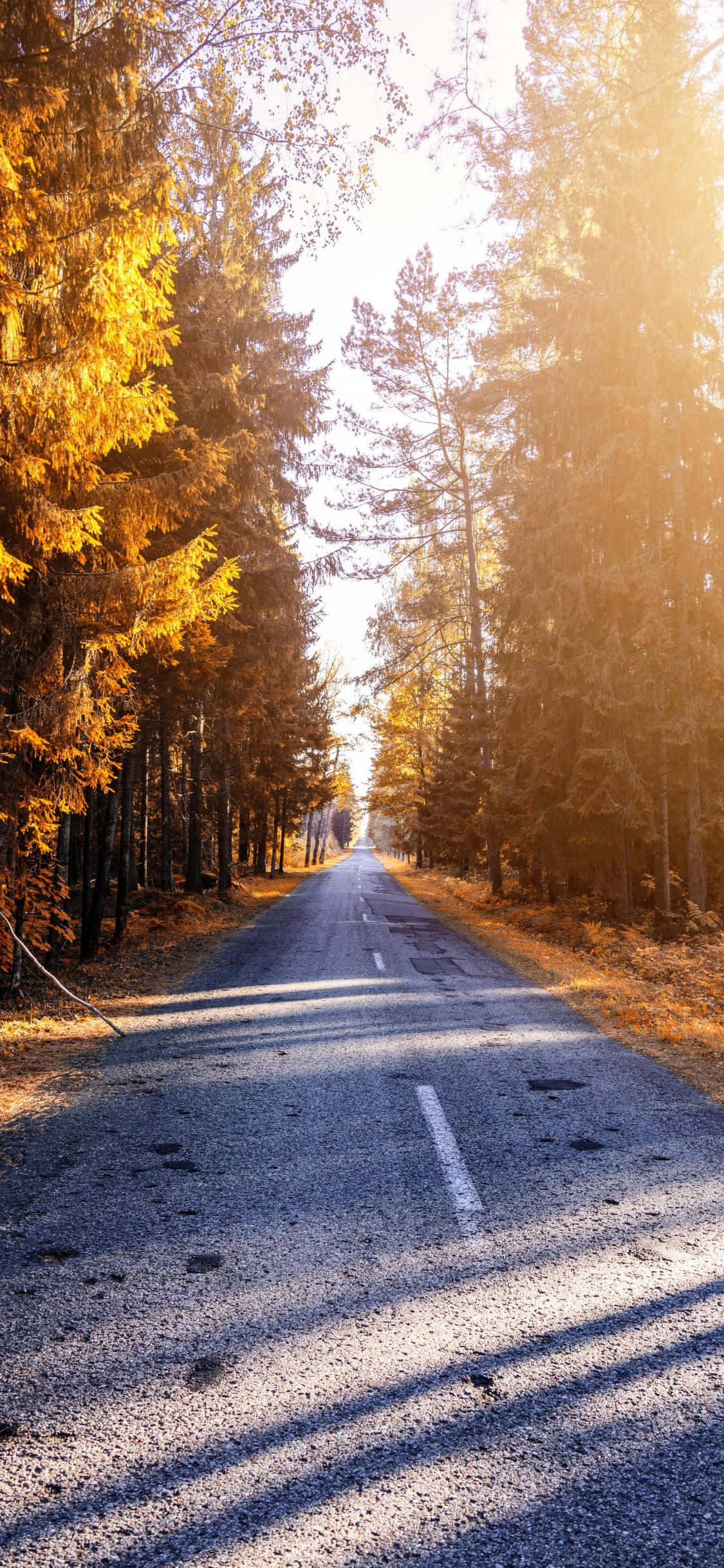 Kusoma Serehe - iPhone X Asili ya Asili Picha ya Ukuta
