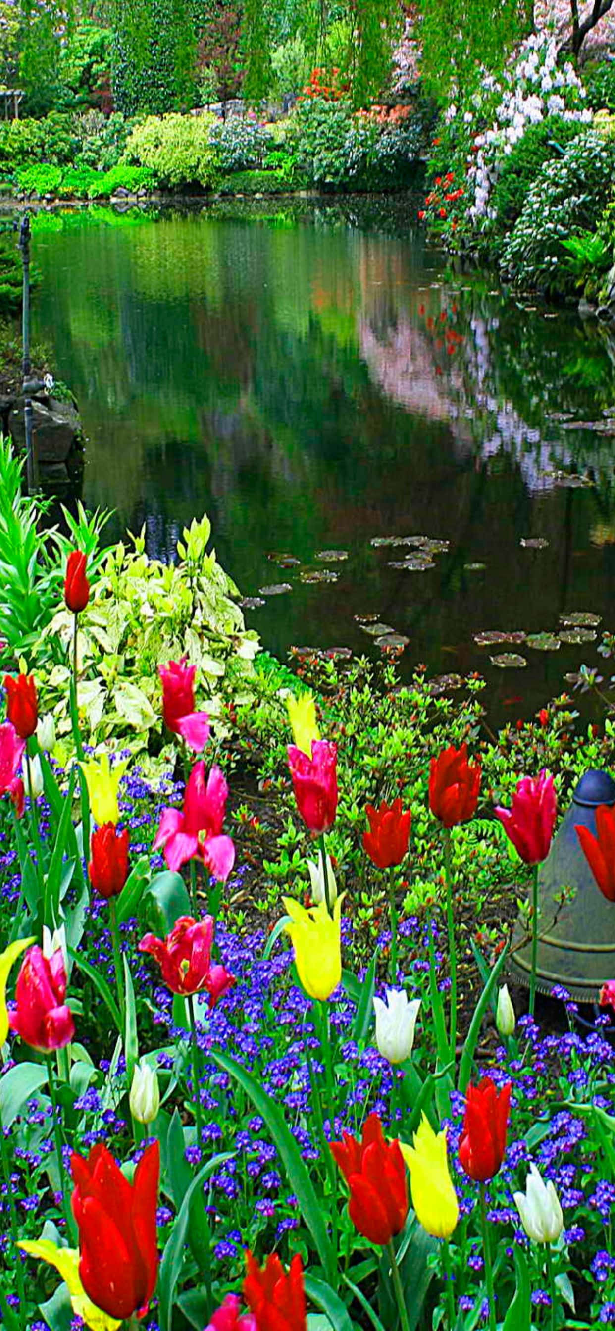 Furahia uzuri wa asili na mazingira ya spring ya Pixel 3 Picha ya Ukuta