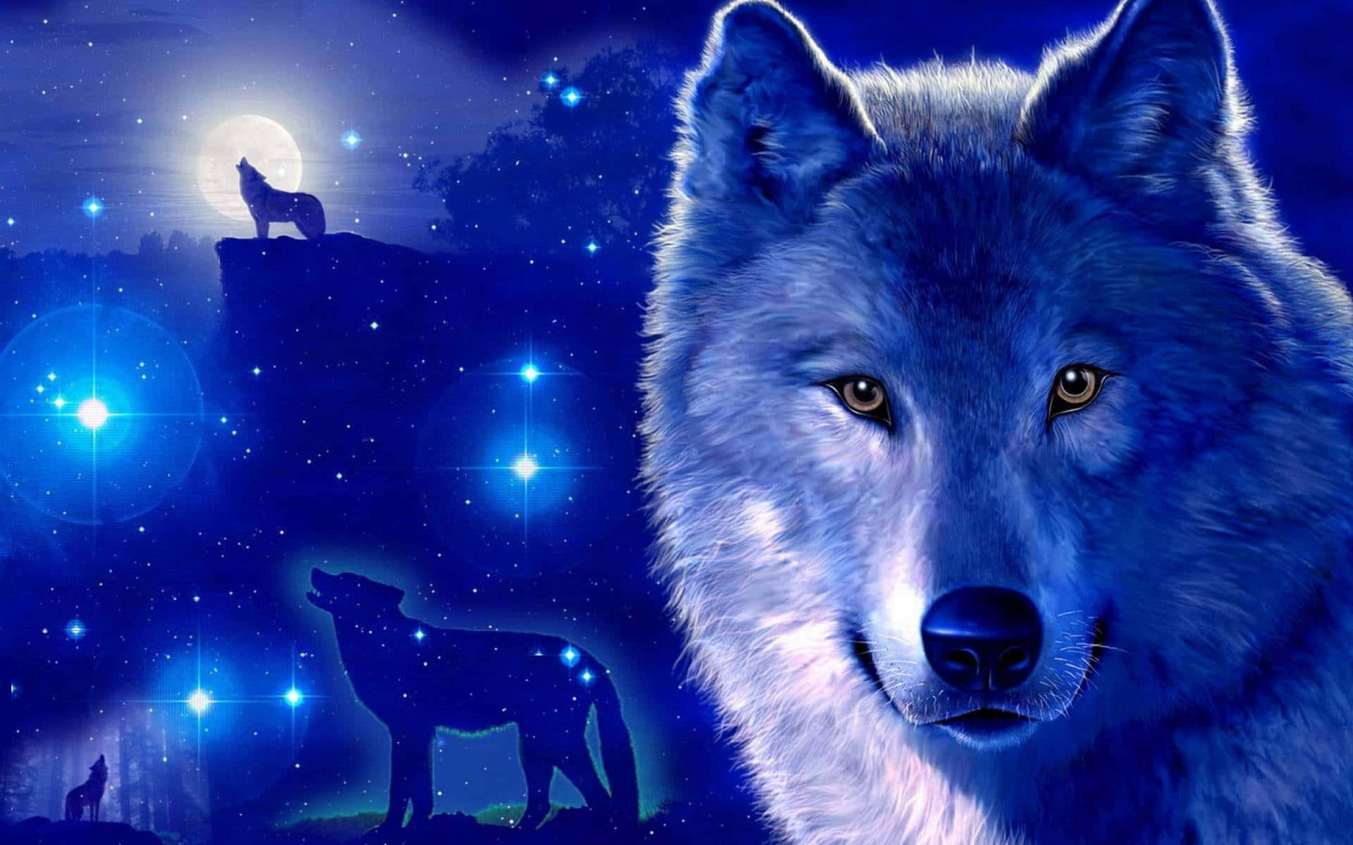 Kusoma uzuri wa nyota na Galaxy Wolf Picha ya Ukuta