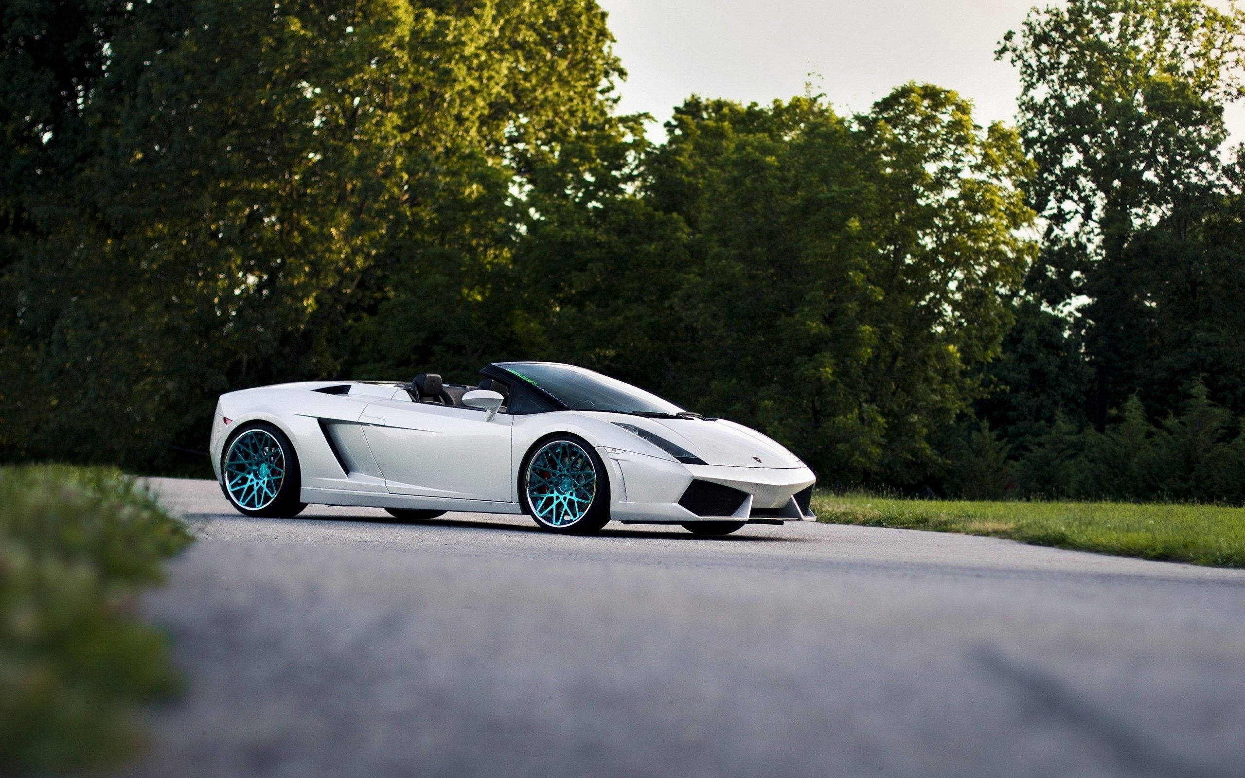 Lamborghini Gallardo Spyder Nyeupe Yenye Juu Imefunguliwa Picha ya Ukuta