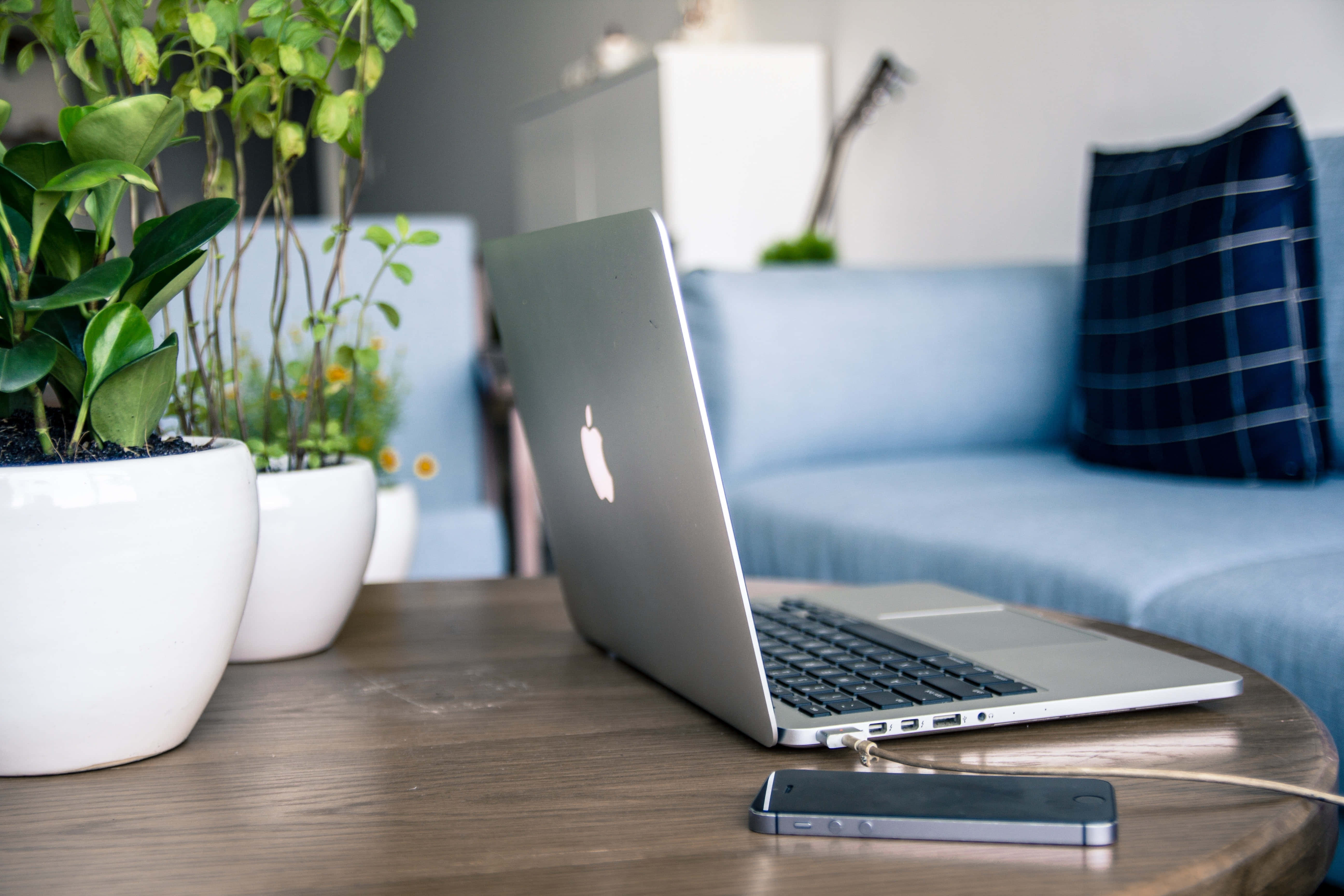 Laptop kwenye meza karibu na mmea Picha ya Ukuta