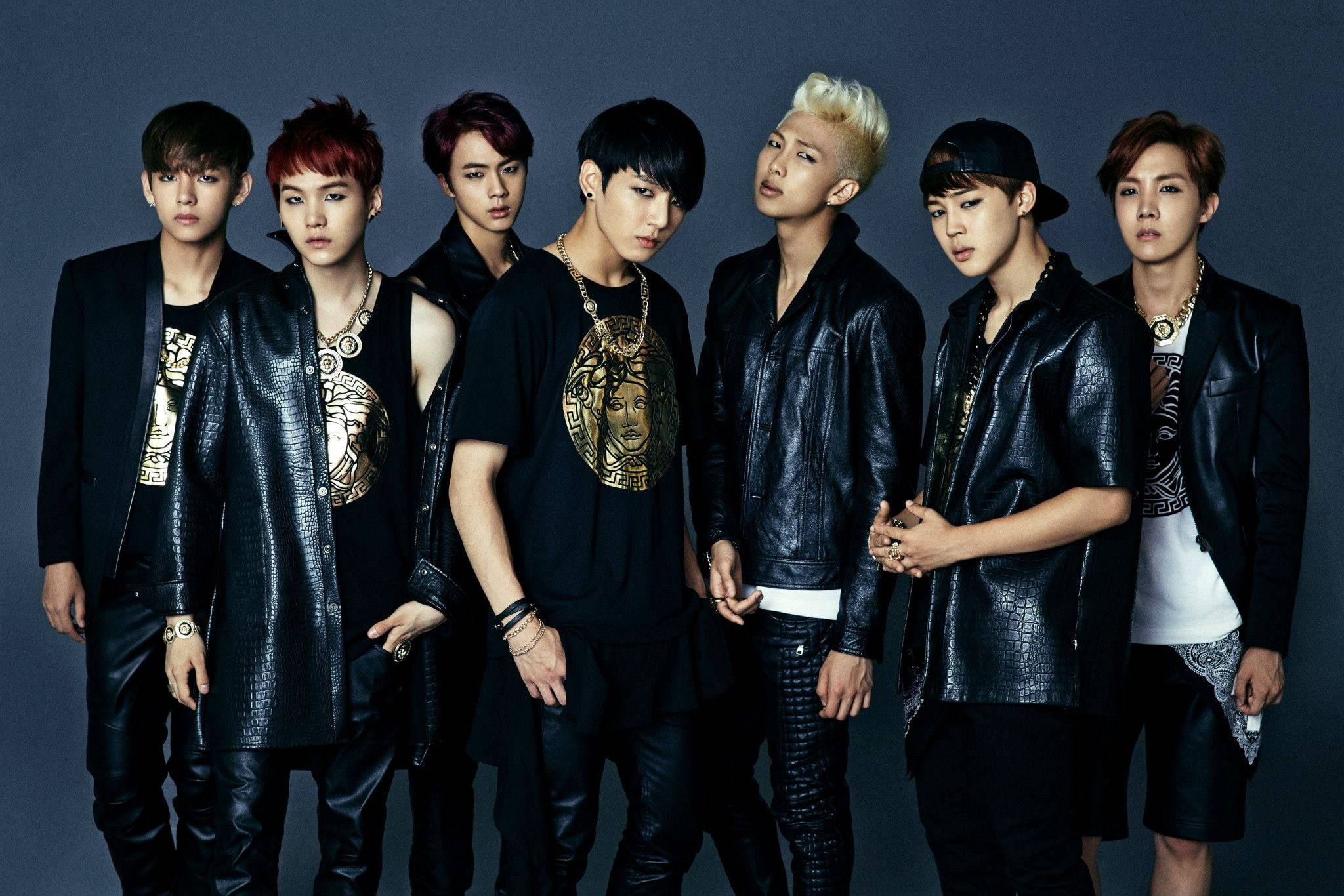 Laptop ya BTS ya Giza na Pori Picha ya Ukuta