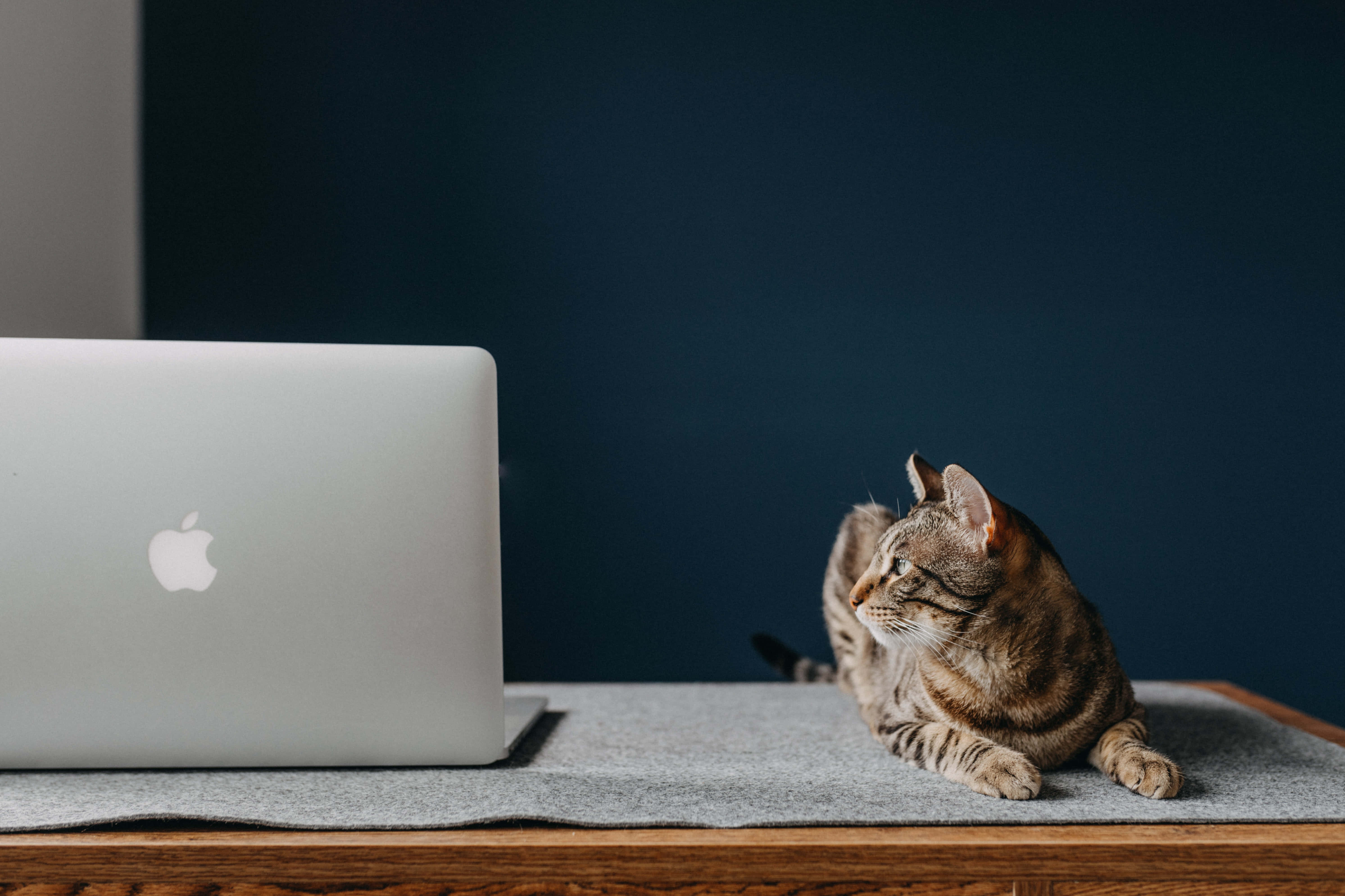 Laptop ya Macbook ya kawaida yenye mpangilio mdogo Picha ya Ukuta