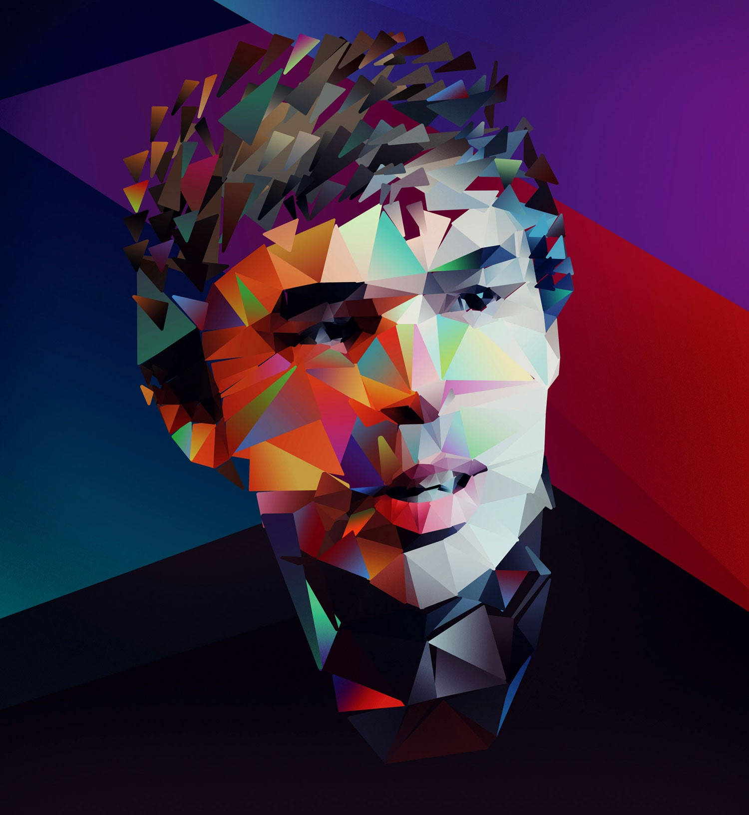 Larry Page Mwanzilishi wa Google Sanaa ya Kielelezo cha Jiometri Picha ya Ukuta