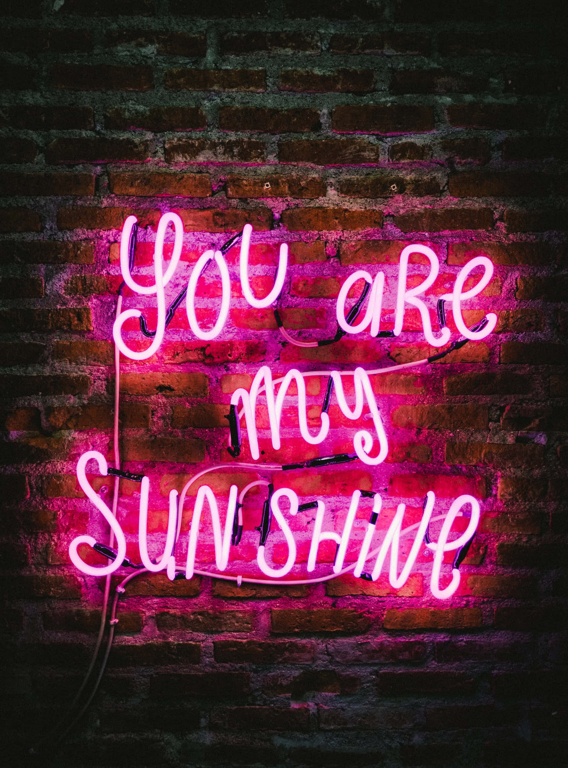 Leta rangi uhai kwa hii Neon Aesthetic yenye kung'aa Picha ya Ukuta