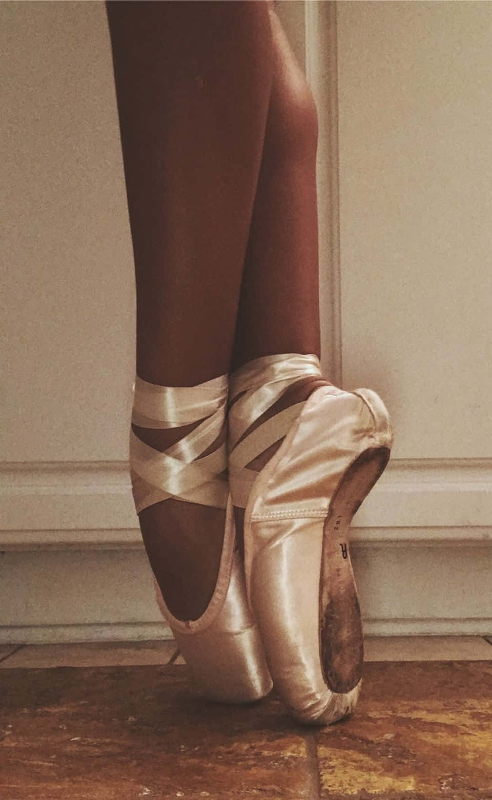Shoes za Pointe za Brown Nyepesi Picha ya Ukuta