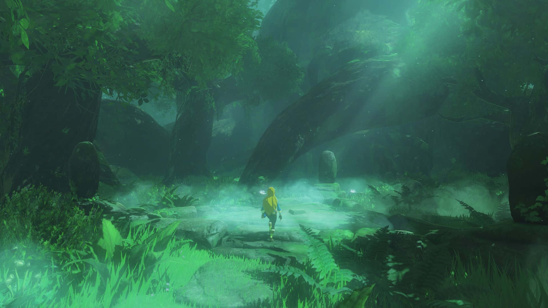 Link katika safari kote katika ulimwengu wa The Legend of Zelda Picha ya Ukuta