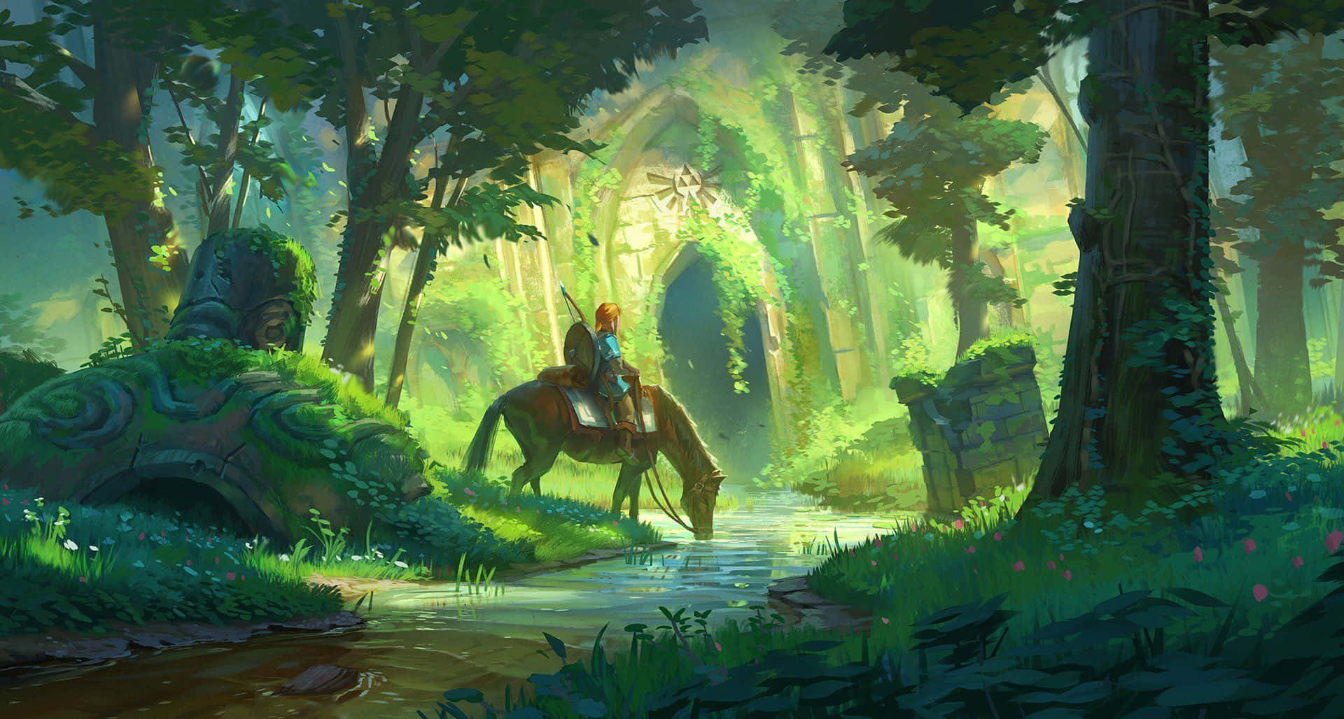 Link, Shujaa wa Hyrule katika The Legend of Zelda Picha ya Ukuta