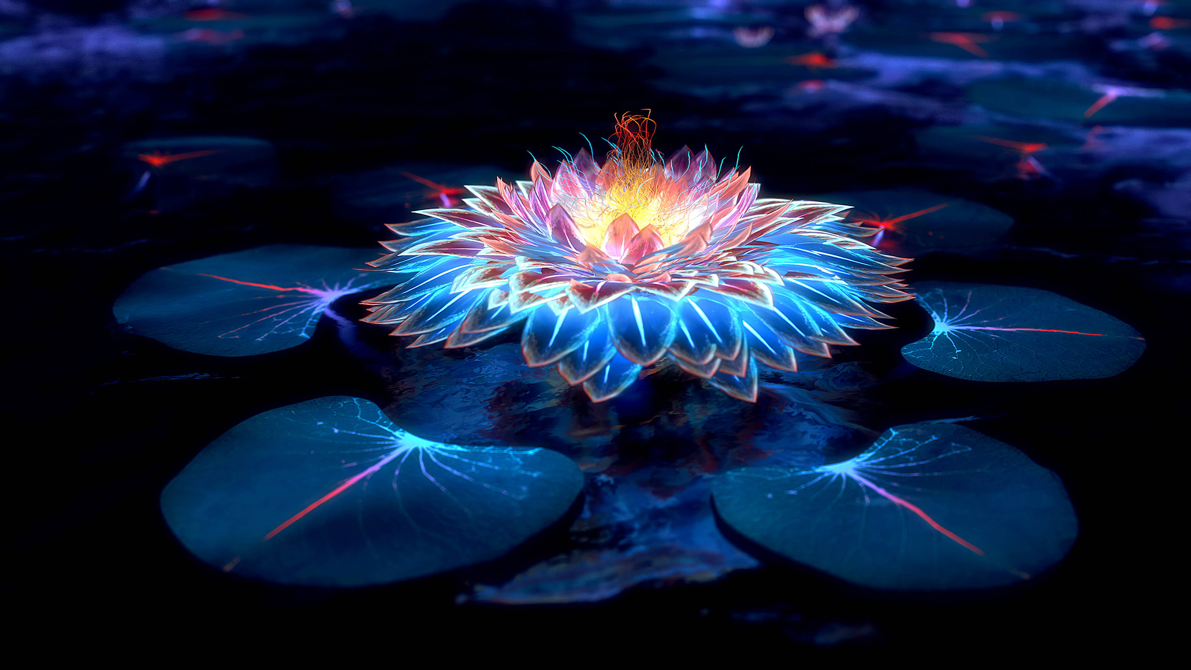 Lotus na Taa Gizani Picha ya Ukuta