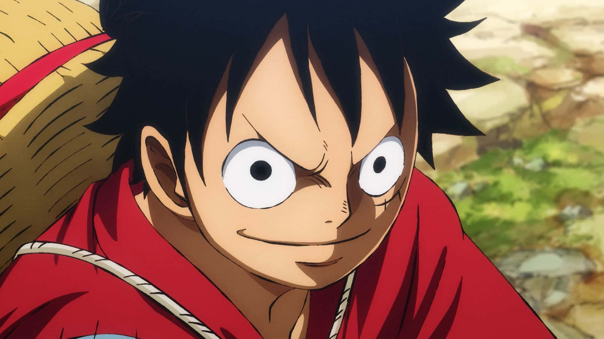 Luffy, Mfalme wa Maharamia! Picha ya Ukuta
