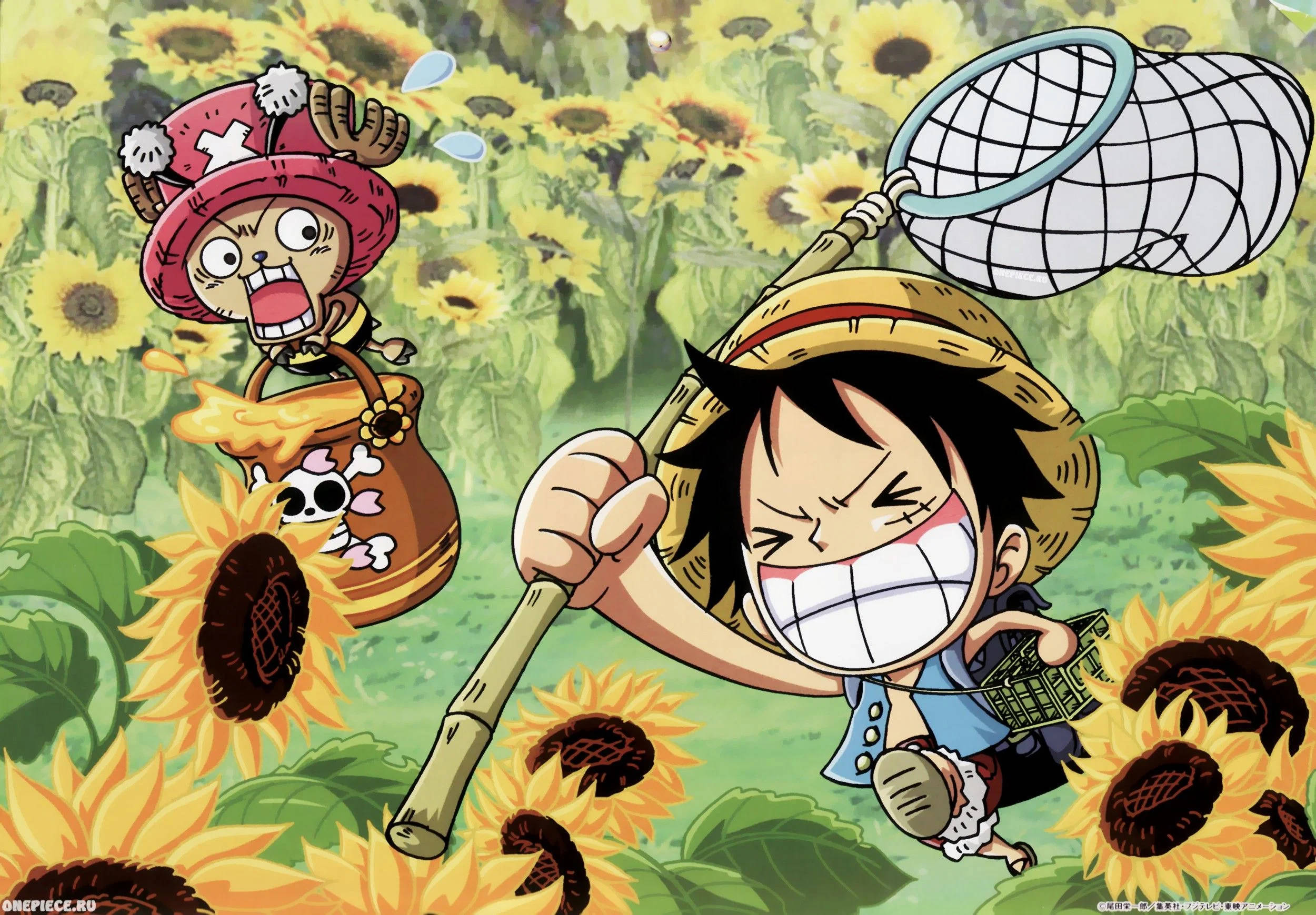 Luffy na Chopper Anime ya Kuchekesha Picha ya Ukuta